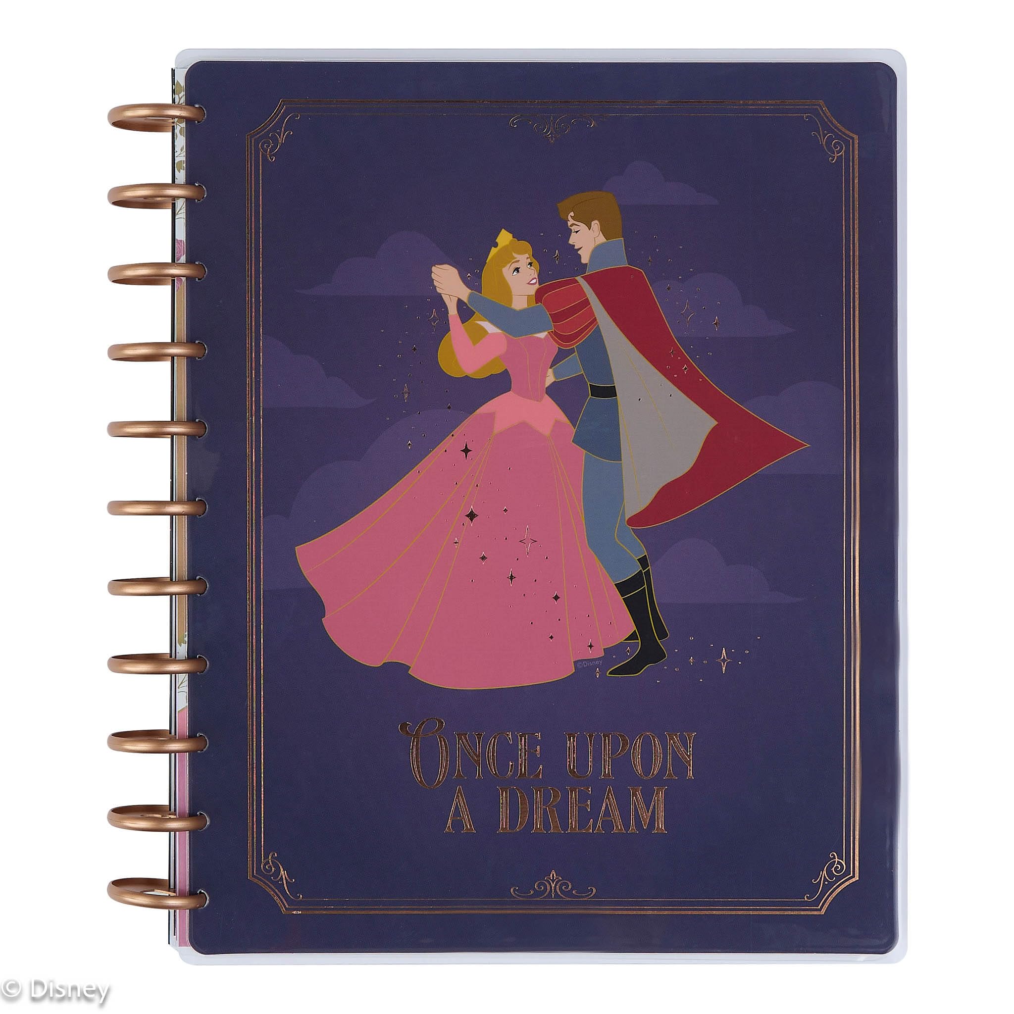 The Happy Planner Disney Disc Bound 12 Month Jan Dec Desertcart