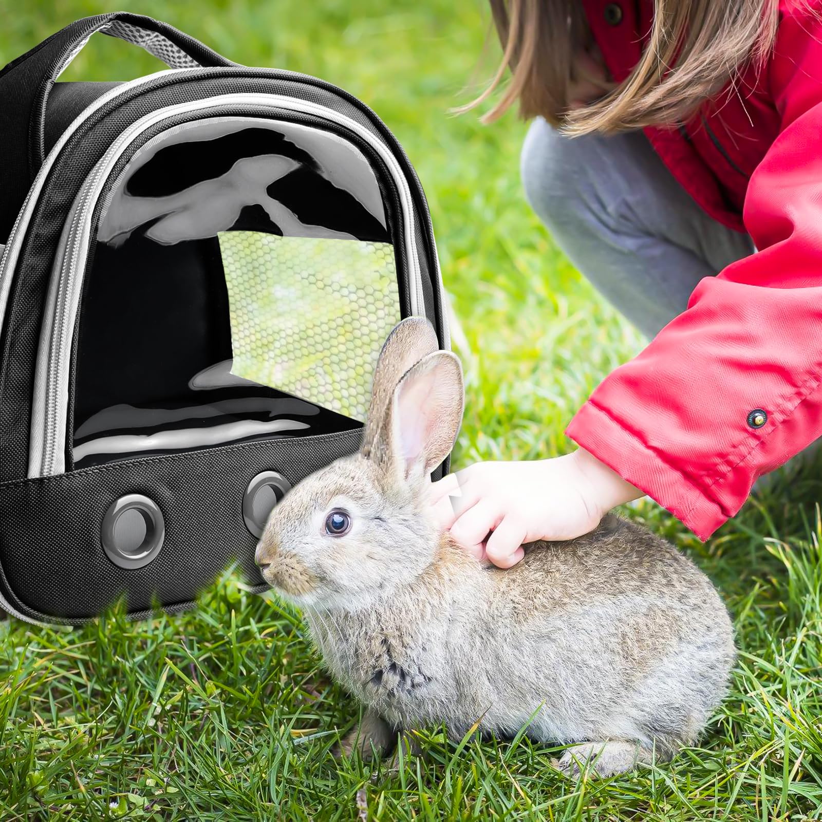Boîte de transport pliable avec bandoulière pour chat, chien, lapin, hamster - 30 x 21 x 27 cm - Noir