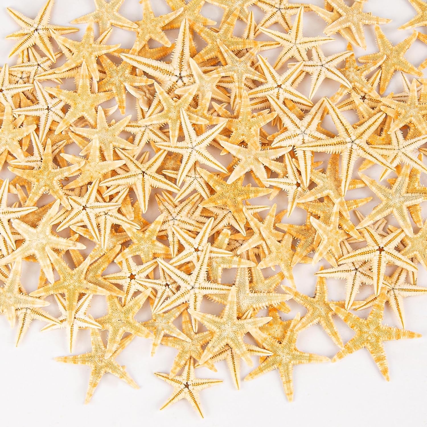 QEQEKAKA 200 PCS Starfish for Crafts