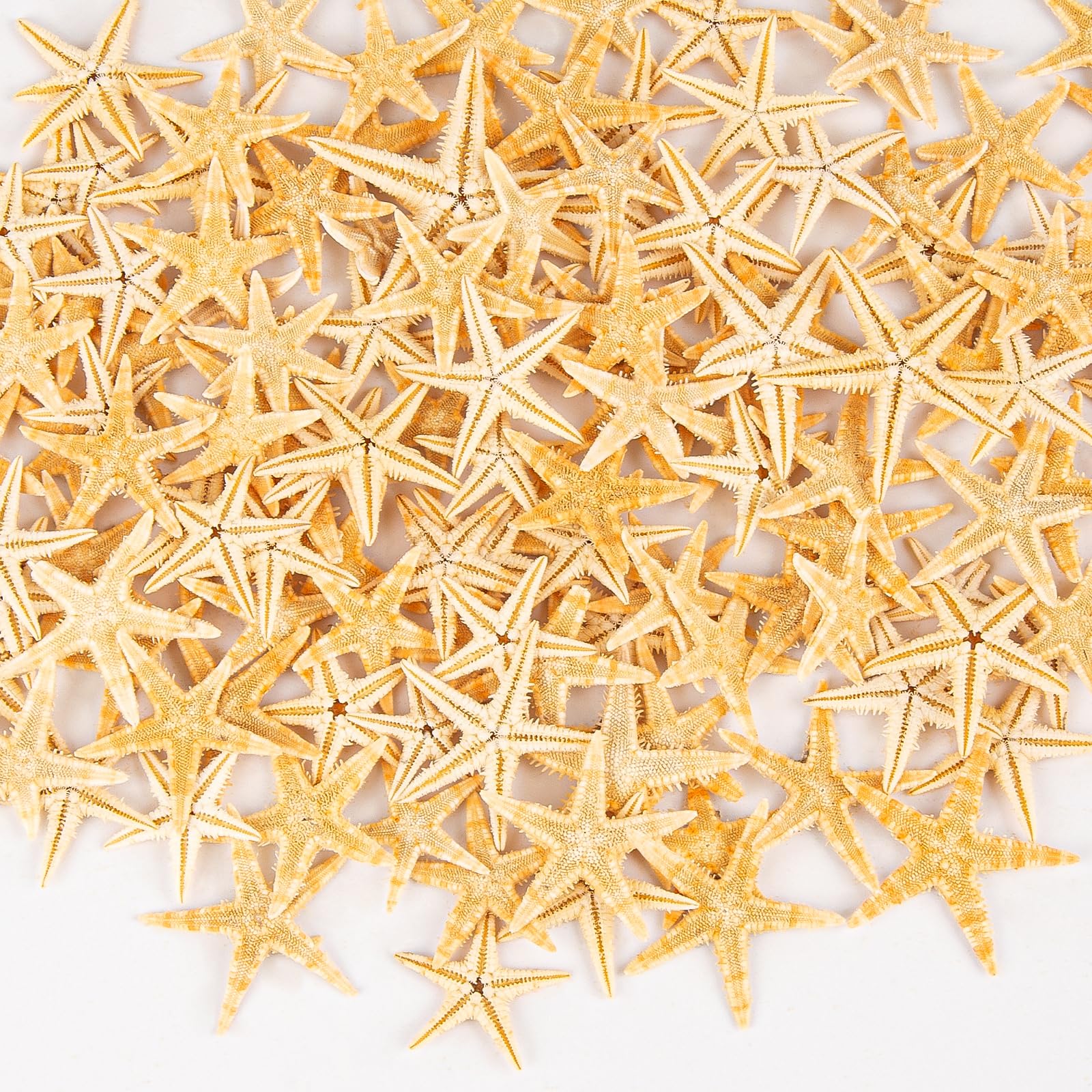 QEQEKAKA 100 PCS Starfish for Crafts 0.4" to 1" Natural Small Starfish Decor Bulk, Mini Starfish for Wedding Beach Theme Decor Home DIY Crafts Decor