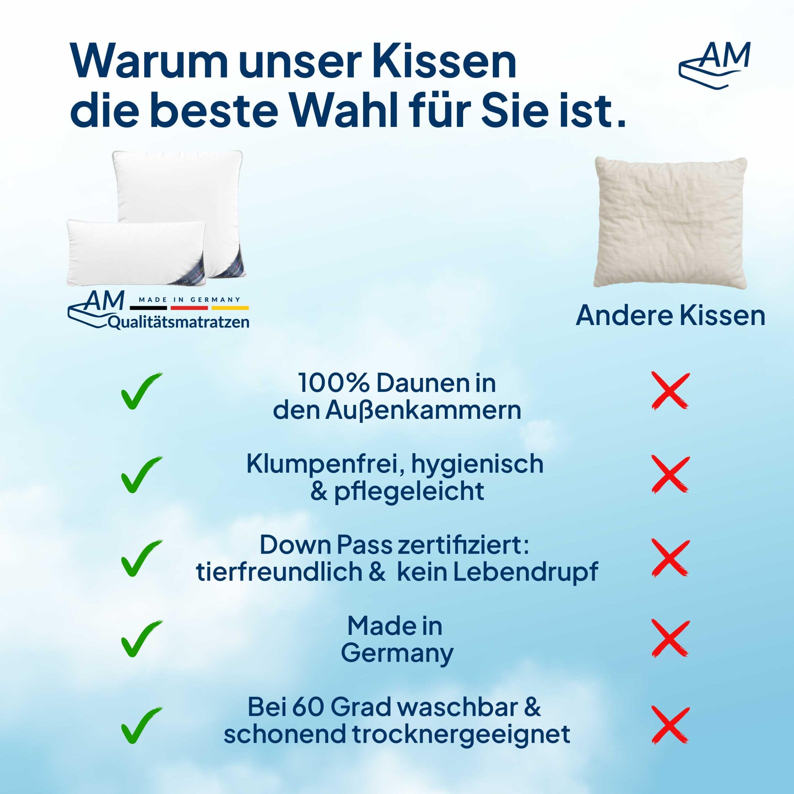Daunenkissen 80x80 - Made in Germany 3 Kammer Kopfkissen 80x80cm - Außenkammer aus 100% Daune - Federkissen 80 x 80 cm Allergiker geeignet - Kopfkissen 80x80 Federn und Daunen Füllung