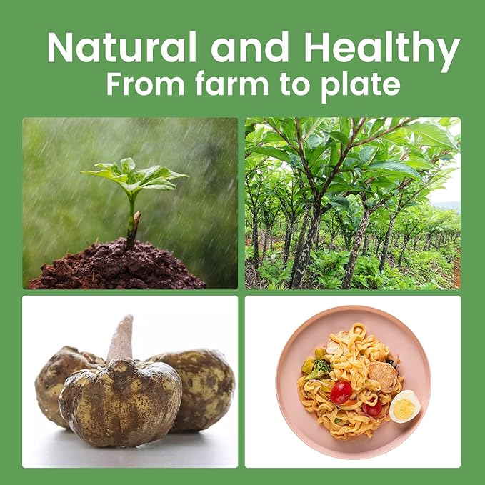 Fideos Konjac Hethstia con Fibra de Avena, Bajo en Carbohidratos, Keto, Sin Gluten, Vegano (Pack de 6) miniatura 5