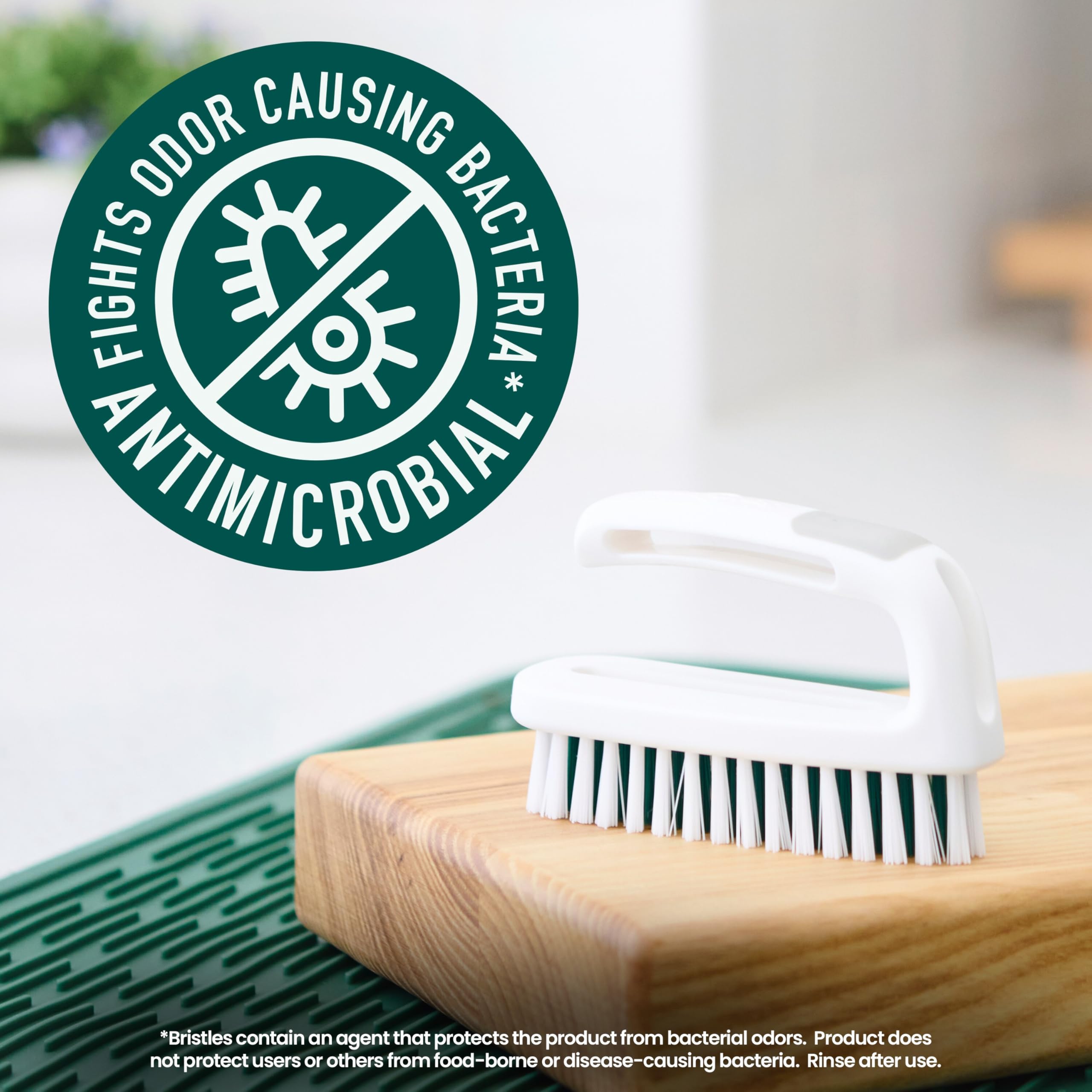 SANOHATABRUSH 豚毛 SASAKICELLULOID Amazon.com: Bamboo Naturals Greenery Mini Scrub Brush & Dish