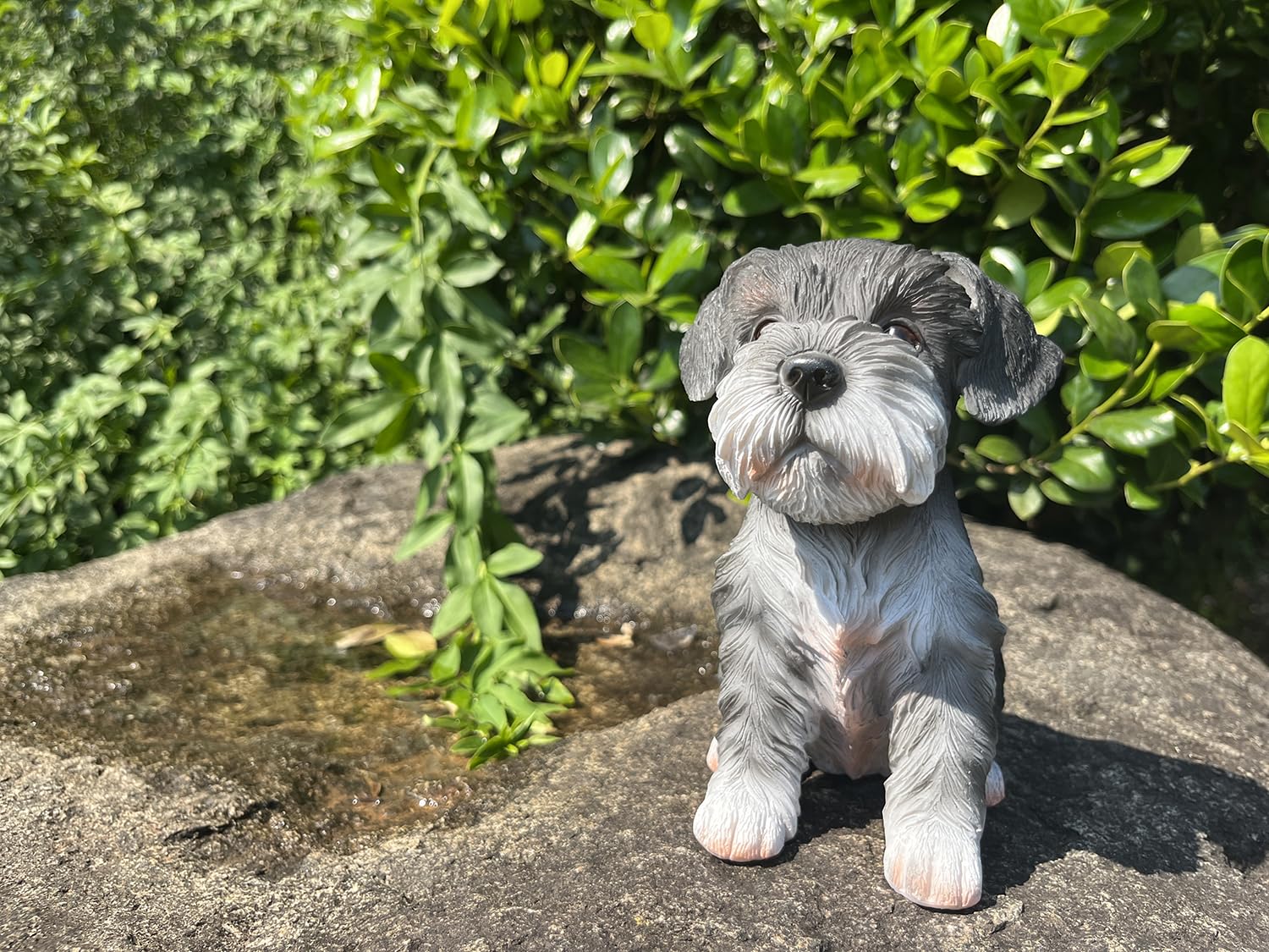 Amazon.co.jp: RemeeHi 犬の置物 シュナウザーの置物 置物 置き物