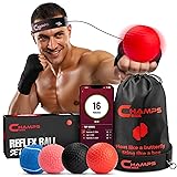 Champs MMA Boxing Reflex Ball Set with Punch Counter App | 4 Balls with Varying Weights, Headband & 4 Spare Strings to Improve Speed, Hand Eye Coordination Training | Boxing Equipment, MMA Gear Gift