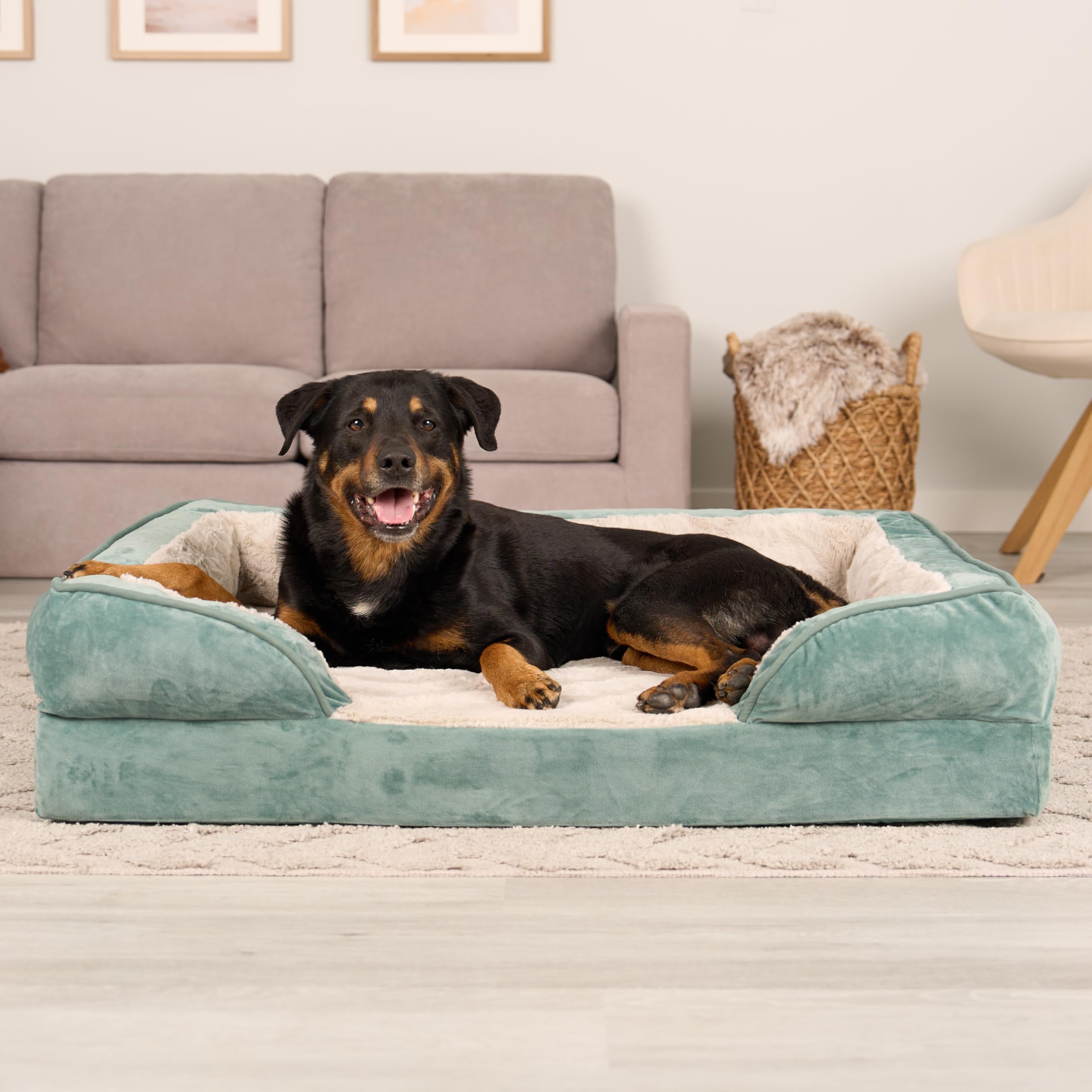 Amazon | FurHaven (ファーヘイブン) 冷却ジェル 犬用ベッド 大型犬用 取り外し可能なボルスター&洗えるカバー付き 最大95ポンドの犬用  フラシ天&ベルベットウェーブ パーフェクトコンフォートソファ - セラドングリーン ジャンボXL | FurHaven | ベッド・クッション 通販