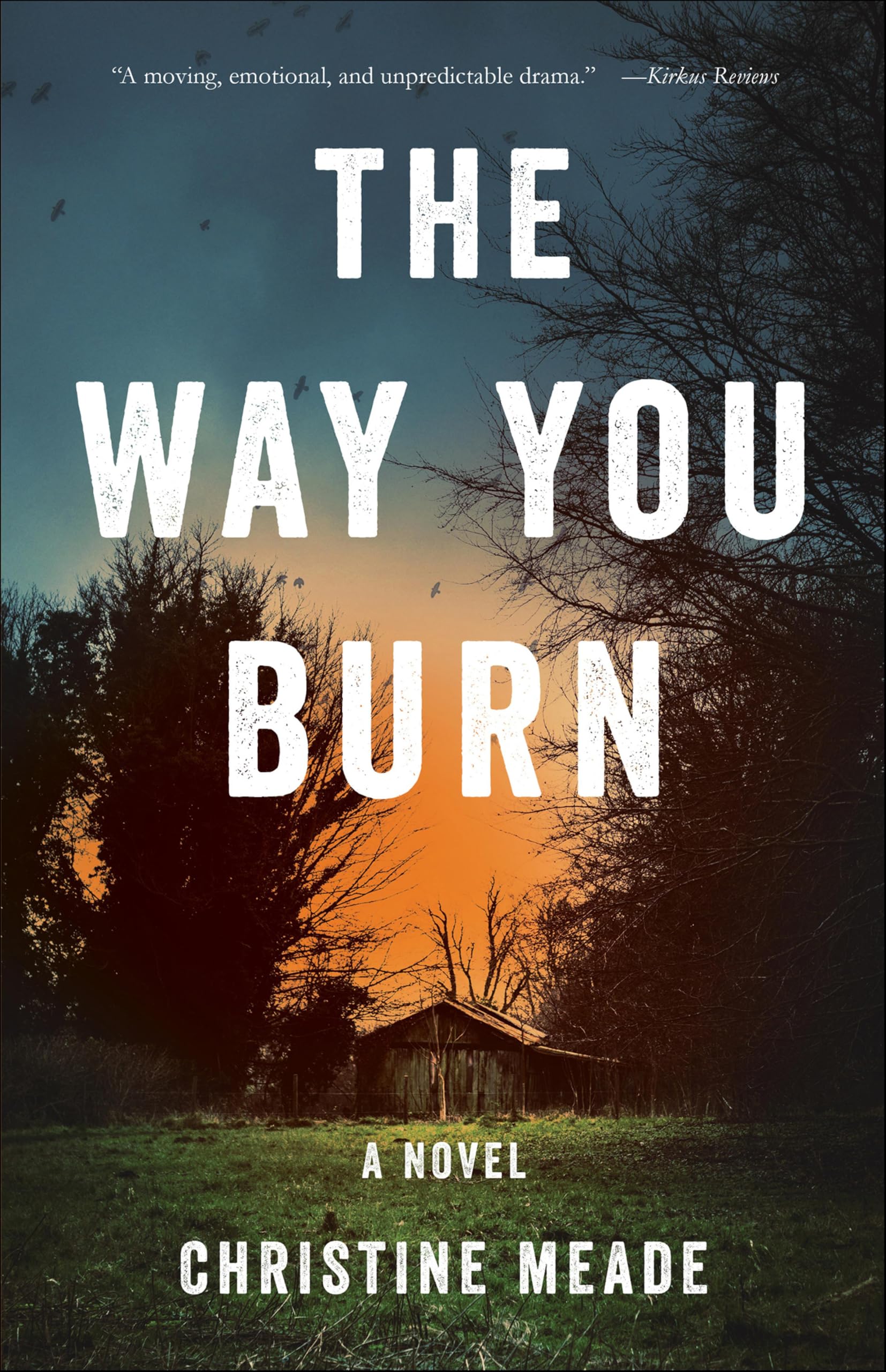 The Way You Burn: A Novel
