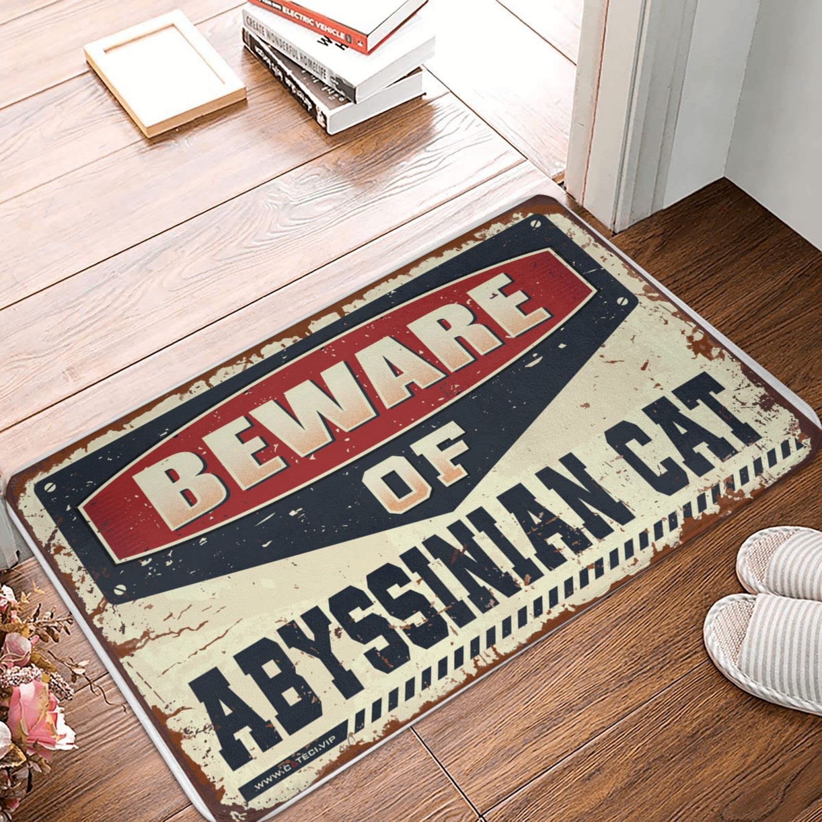 Tapis d'extérieur chat abyssin paillasson porte d'entrée 50x80cm