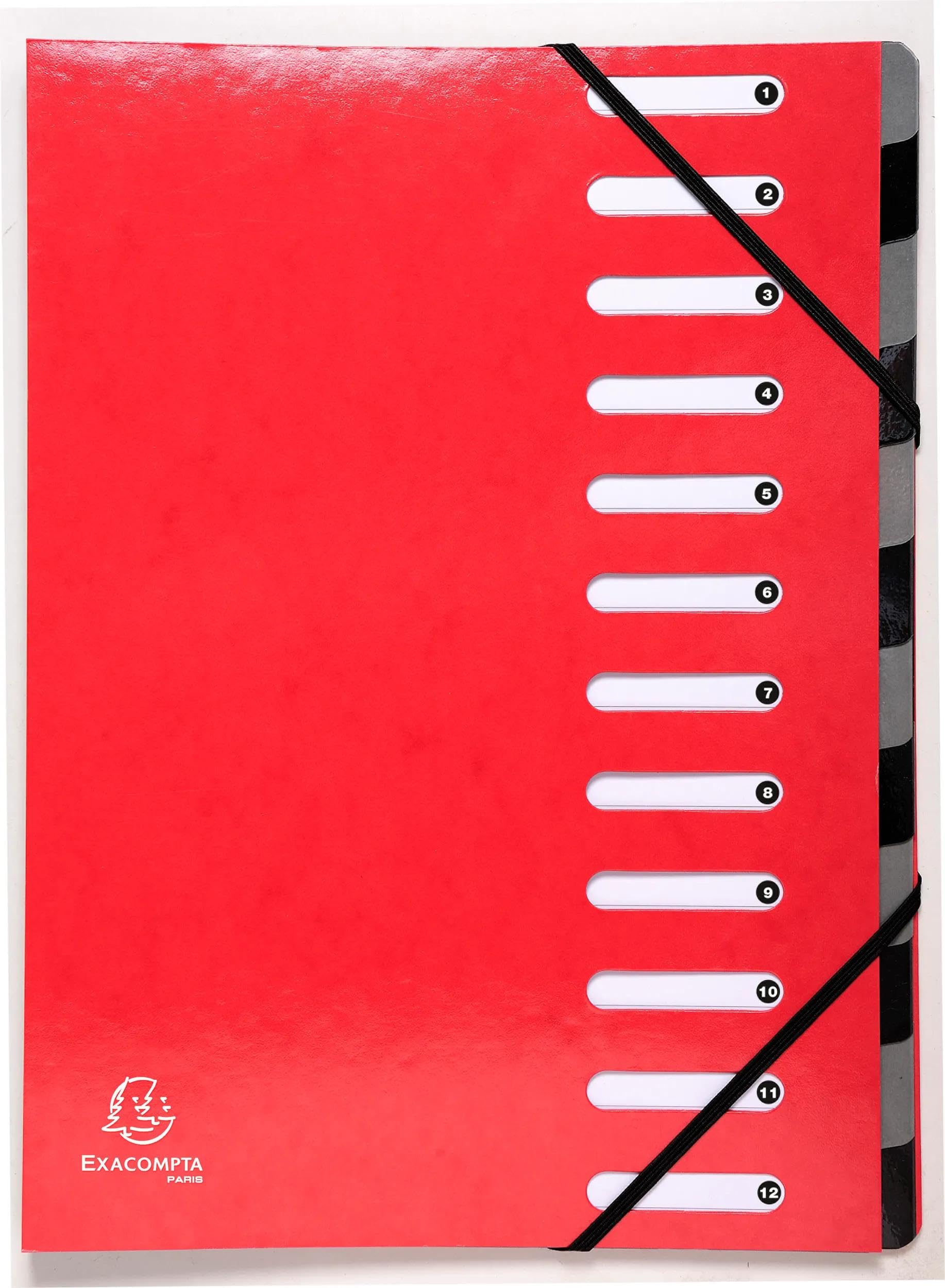 Exacompta - Ref 53925E - Box of 6 HARMONIKA Iderama File Boxes - with Elastic Bands and Cut-Out Windows - Expandable Spine - Made of Laminated Glossy Card - 12 compartments -Size 24.5x32cm - A4 - red