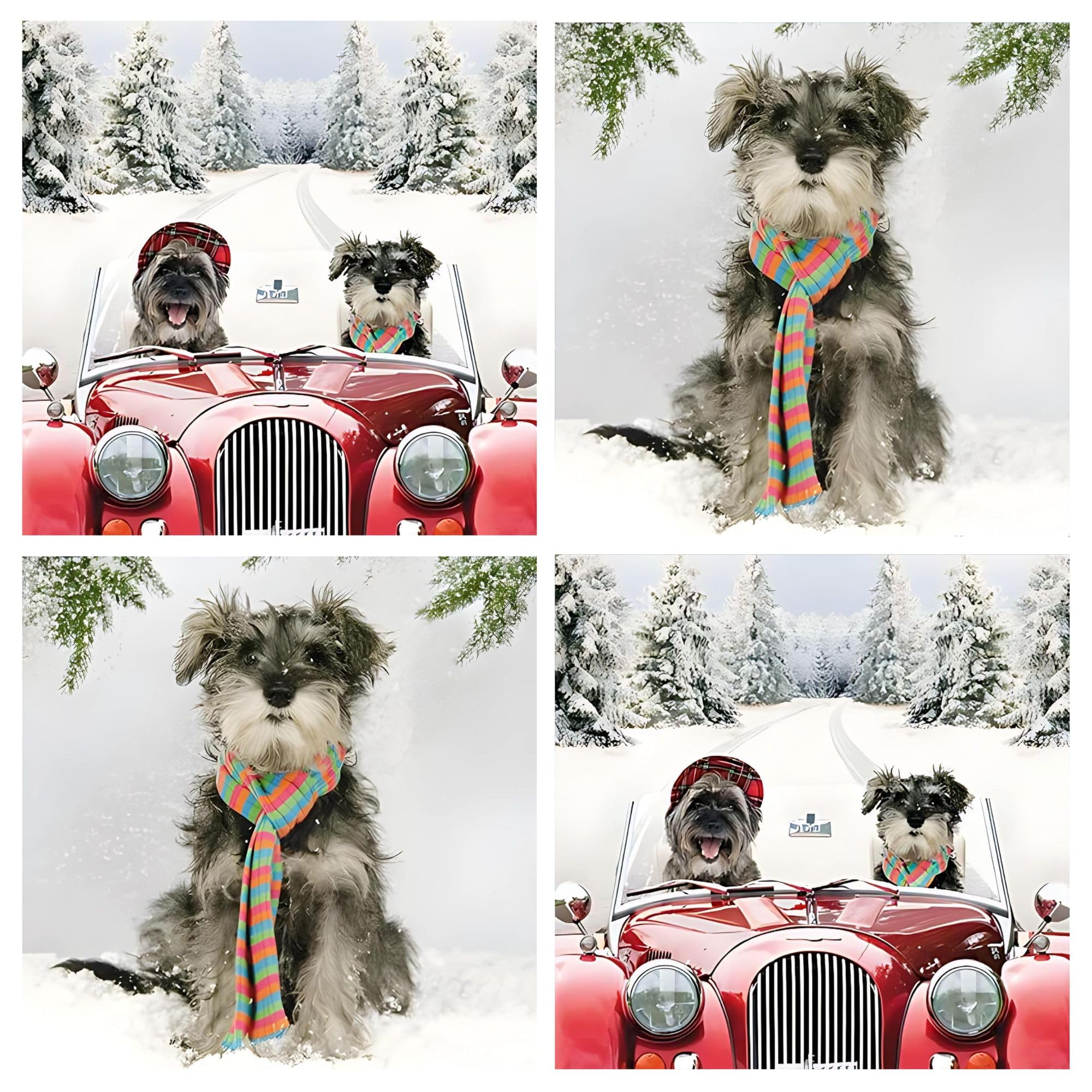 GBCC Charity Christmas Cards Box of 20 - Funny Festive Dogs in the Snow - Assorted Premium Greeting Cards Multipack with Envelopes - 10 Each of 2 Designs - Supporting UK Charities