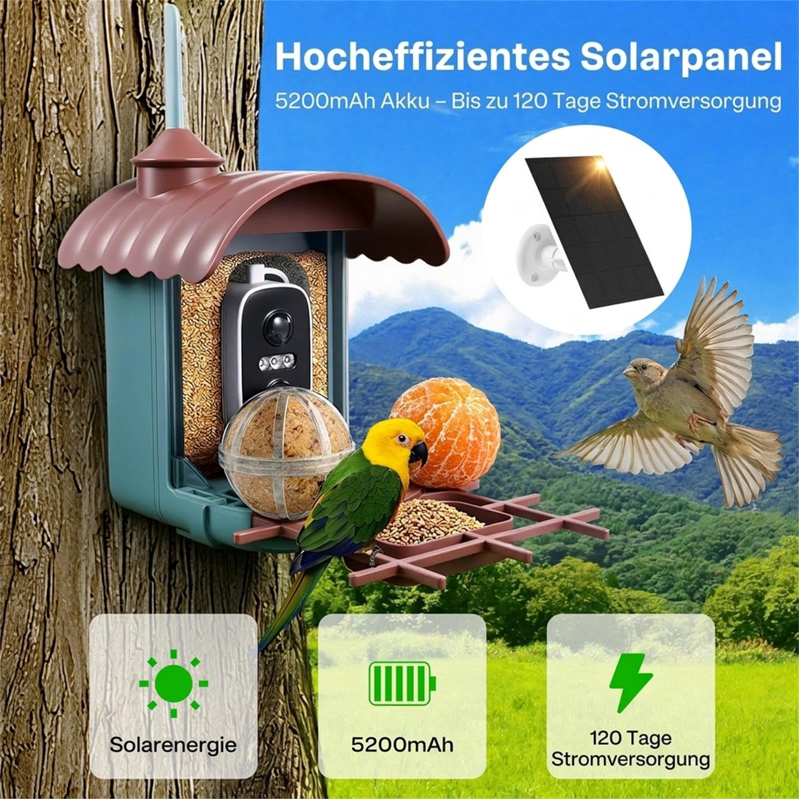Vogelhaus mit 4MP Kamera Vogelfutterhaus Solar Vogelfutterspender & Futterstelle: Video/Fotoaufnahme, KI Identifizierung, Bewegungserkennung, Sofortiger Benachrichtigung, Nachtsicht, 2.4GHz WLAN