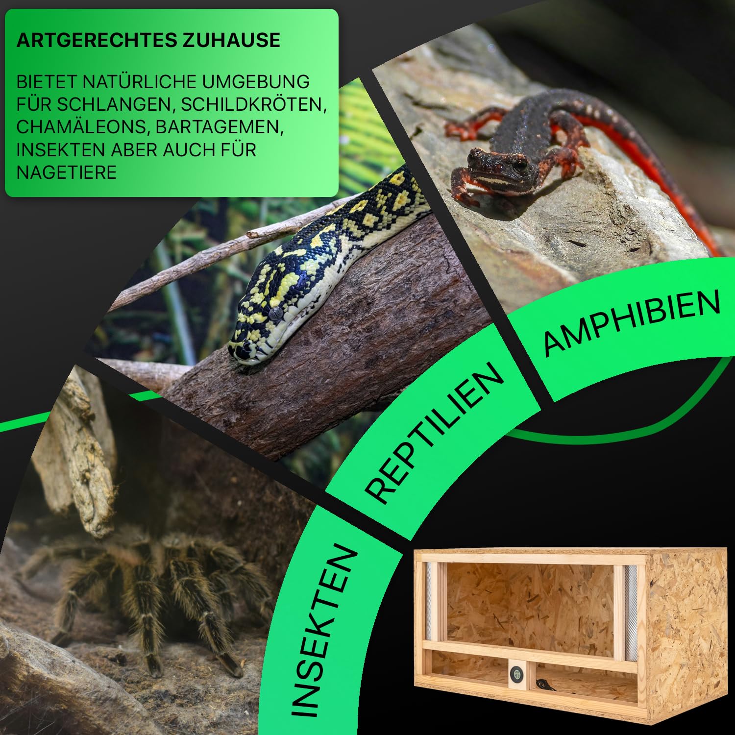 ITA Holz Terrarium 80x40x40 cm mit Frontbelüftung & Integriertem Hygrometer - Holzterrarium aus OSB-3 Platten - Terrarien für Reptilien, Schlangen, Amphibien - EU Produkt, FSC Zertifiziert