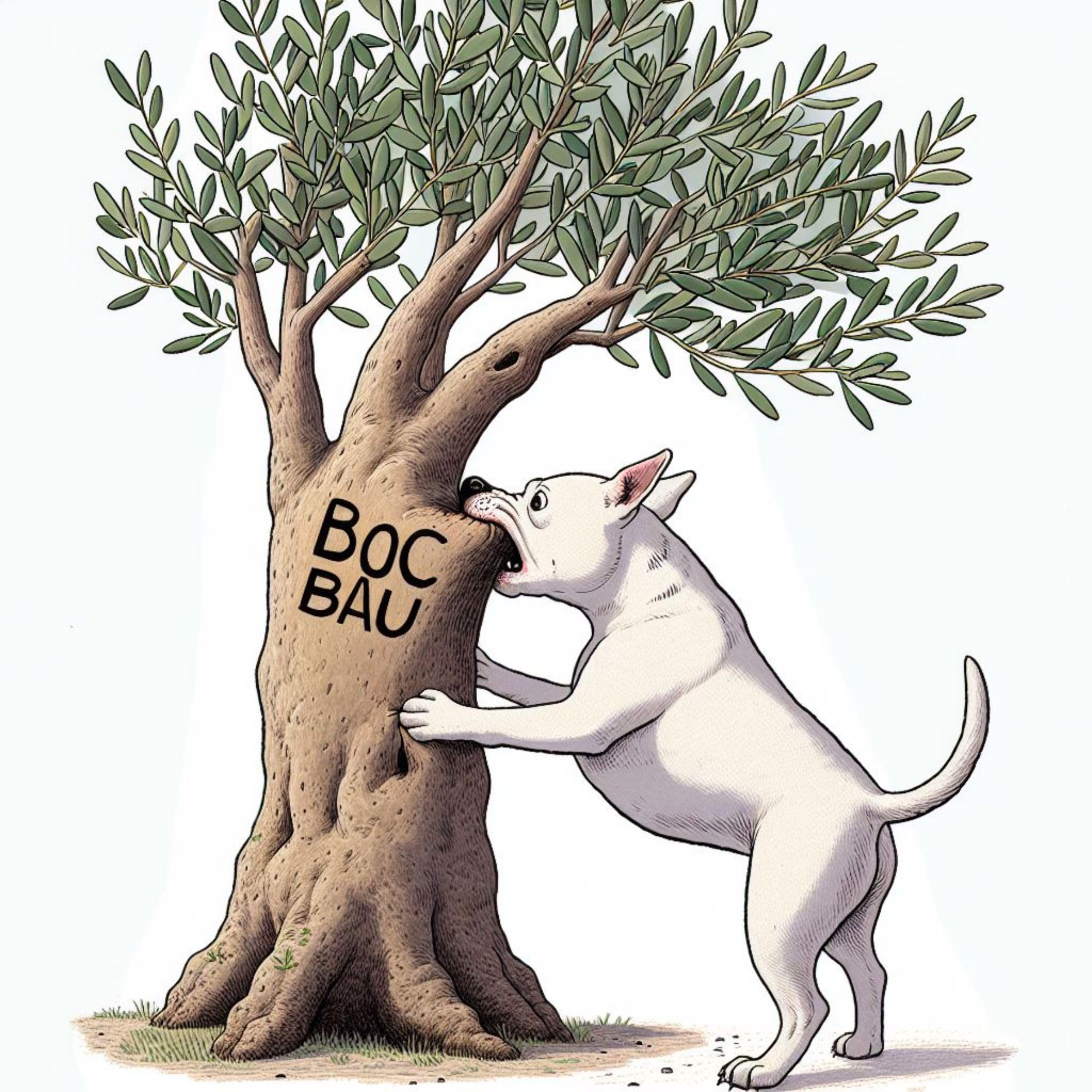 BOC BAU - 3 pz - Bastone di olivo per cani da masticare e rosicchiare in Legno (Small)