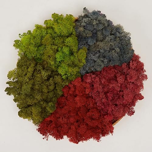 Miniatura 22 de Musgo de Reno Preservado Verde Natural Kit de Bricolaje Arte de Jardinería Decoración de Pared Decoración de Floristería Decoración de Mesa