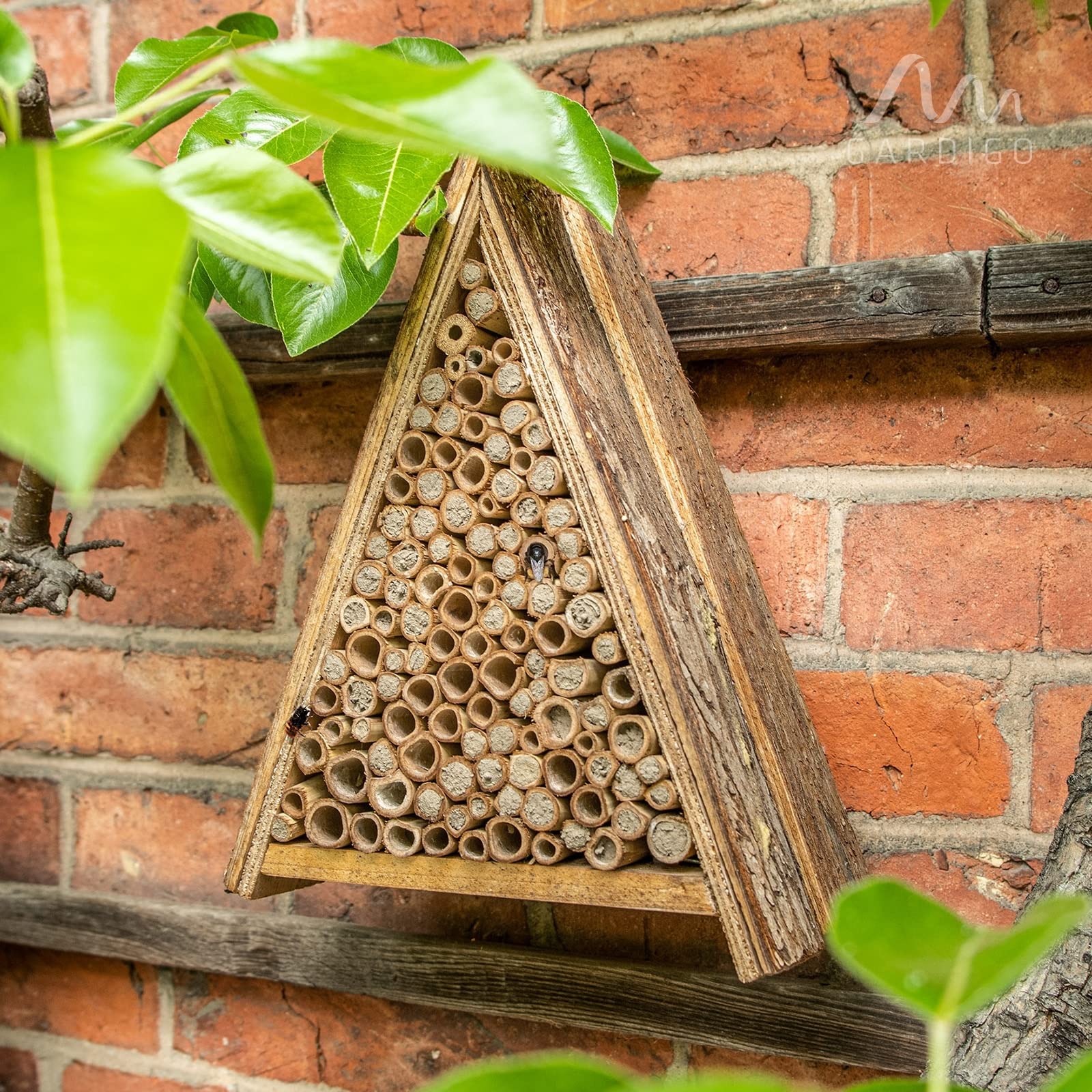 GARDIGO® Abri et Ruche pour Abeilles Solitaires en Bois Naturel; Hôtel Maison, Nichoir Abeilles Maçonnes Sauvages; Pollinisation Jardin; Made in Germany