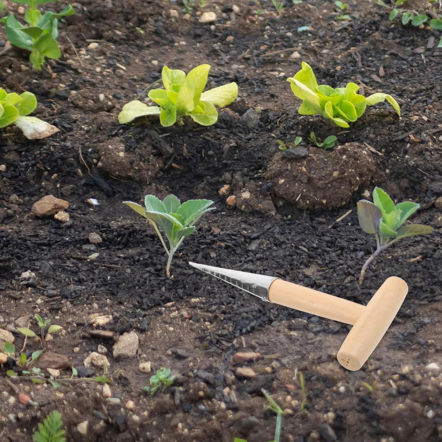 balacoo 5pcs Planter Tool T-Handle Soil Digger for Gardening for Accurate Hole Punching Sowing and Transplanting Your Garden