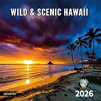 Vista 18 de Calendario de pared 2026, calendario 2026, julio de 2025 a diciembre de 2026, calendario de pared Aurora, 12 x 24 pulgadas abierto, página completa