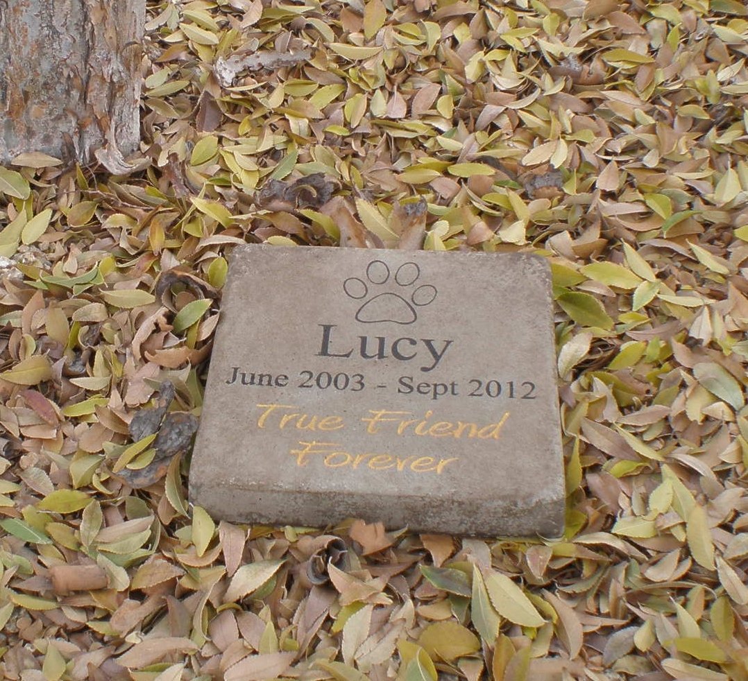 Personalized Engraved Pet Memorial Step Stone 7.5" x 7.5" 'True Friend Forever'