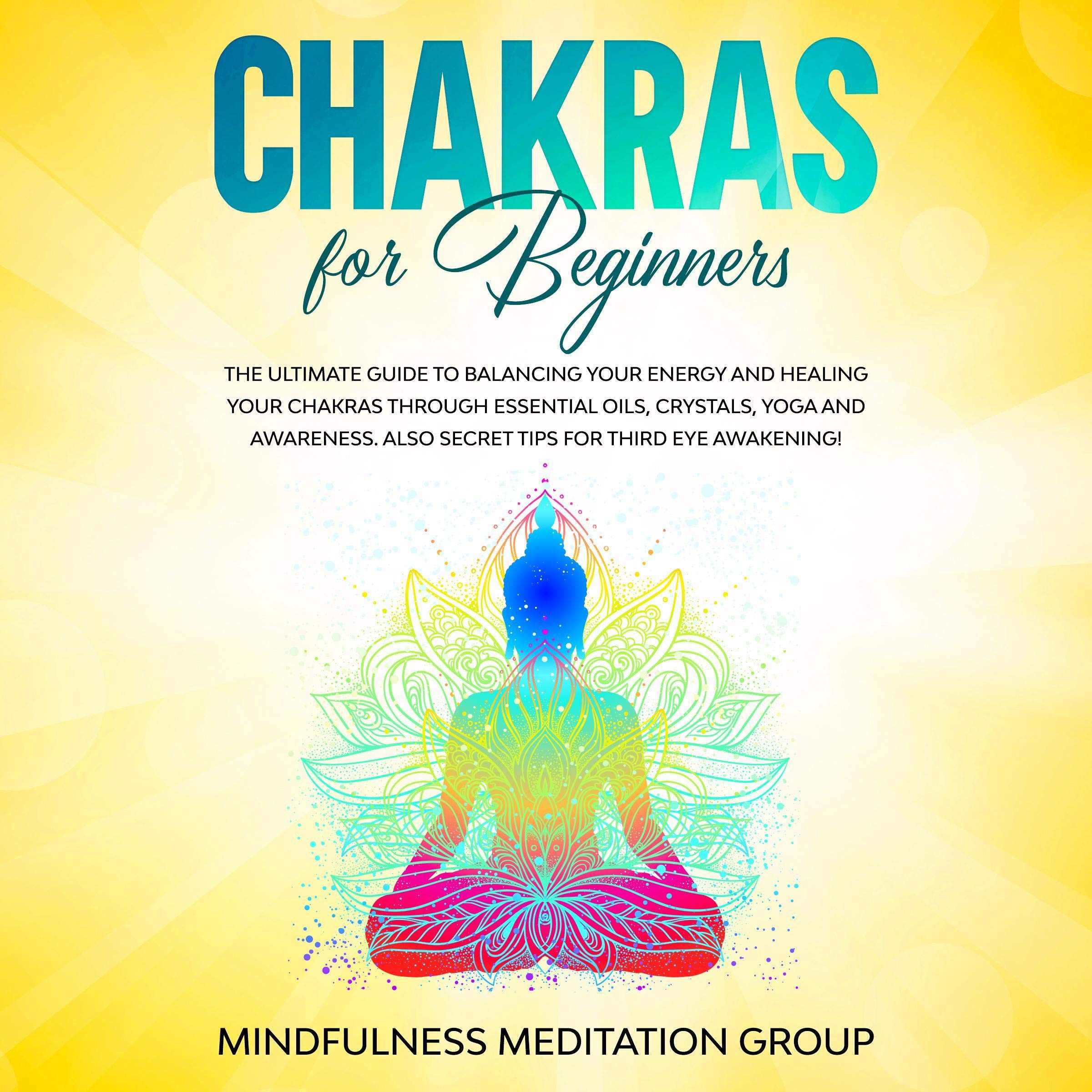 Cover art for Chakras for Beginners