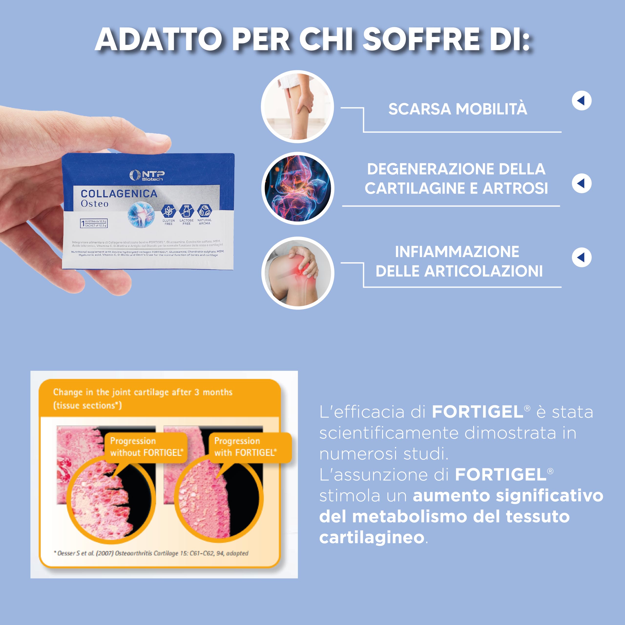 Collagenica Osteo – Supporta Articolazioni, Cartilagini e Ossa - Collagene Idrolizzato Fortigel®, Glucosamina, Condroitina, Artiglio del Diavolo – Infiammazione articolazioni e ossa. 30 Bustine