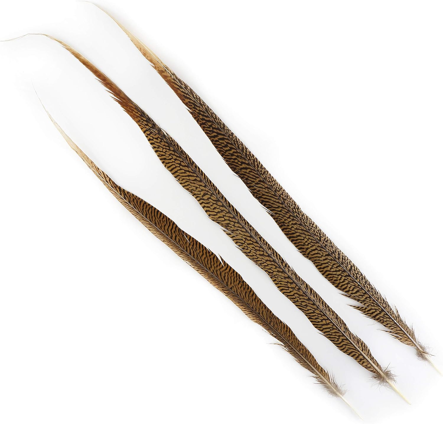 Zucker 3pc Natural Pheasant Feather Craft Supplies - 25-30 inch Wedding Centerpiece Filler