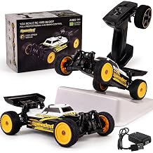[Brushless Edition 124 RC Buggy 4WD Off-Road, Max 50km/h