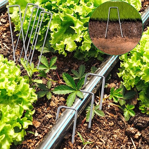 Miniatura 4 de Cptoion Paquete de 200 grapas de paisaje, estacas de jardín de 6 pulgadas, grapas de jardín de acero galvanizado de calibre 11, estacas de patio