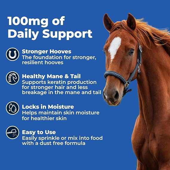 AniMed Biotin 100 Daily Horse Hoof Supplement & Equine Hair Growth Powder 2.5 lbs
