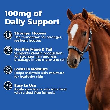 AniMed Biotin 100 Daily Horse Hoof Supplement & Equine Hair Growth Powder 2.5 lbs