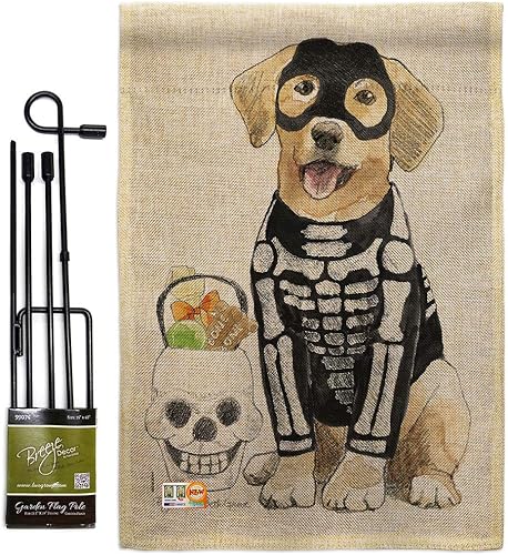 Spooky Skeleton Lab - Bandera de jardín de arpillera de laboratorio, juego con soporte, para otoño, Halloween, bruja, truco o trato, noche de gato
