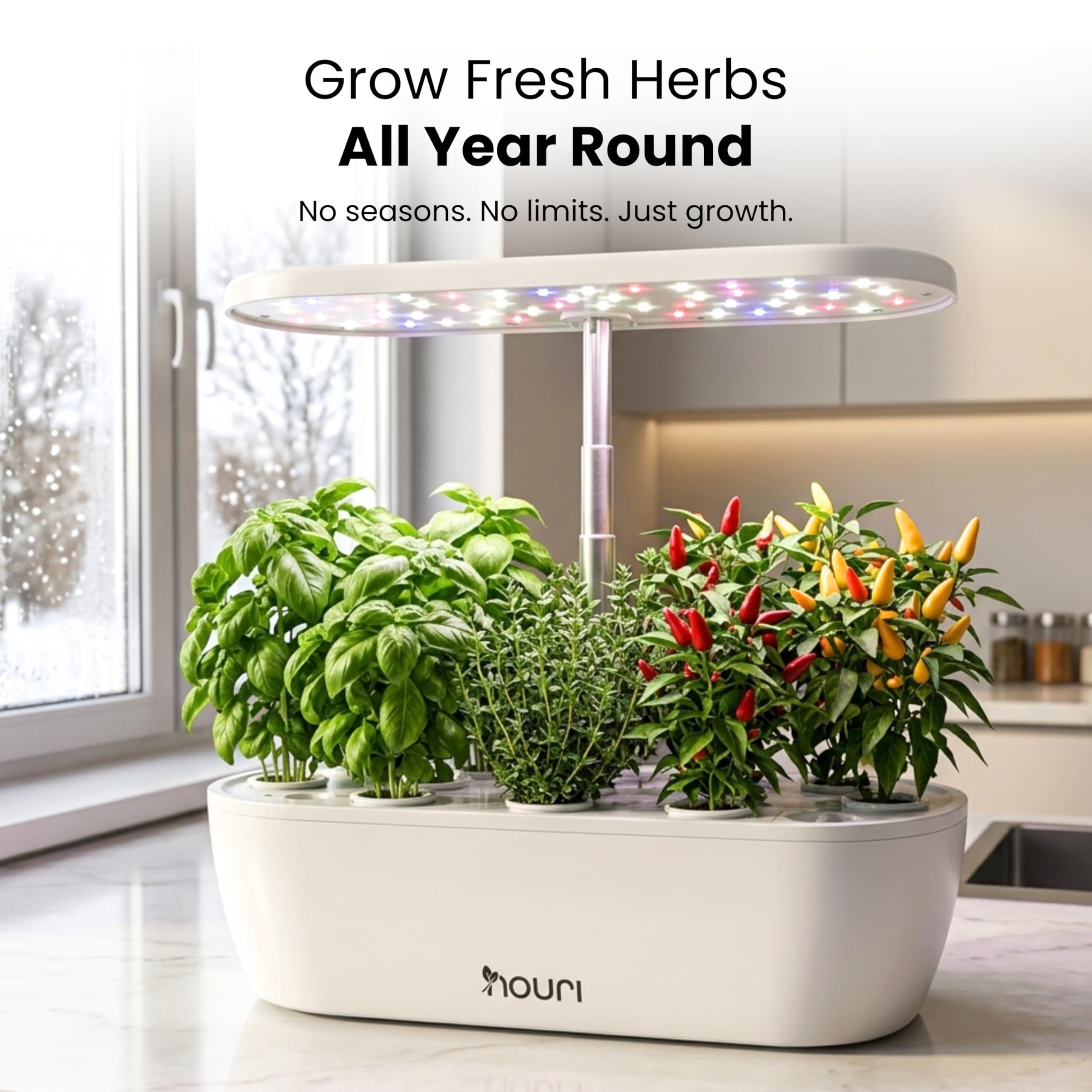 Nouri Hydroponisches Anzuchtsystem, 12 Hülsen Smart Indoor Kräutergarten Set mit App & LED-Wachstumslicht, Hydroponischer Kräutergarten für Zuhause & Küche, Salat Little Gem Samen inklusive