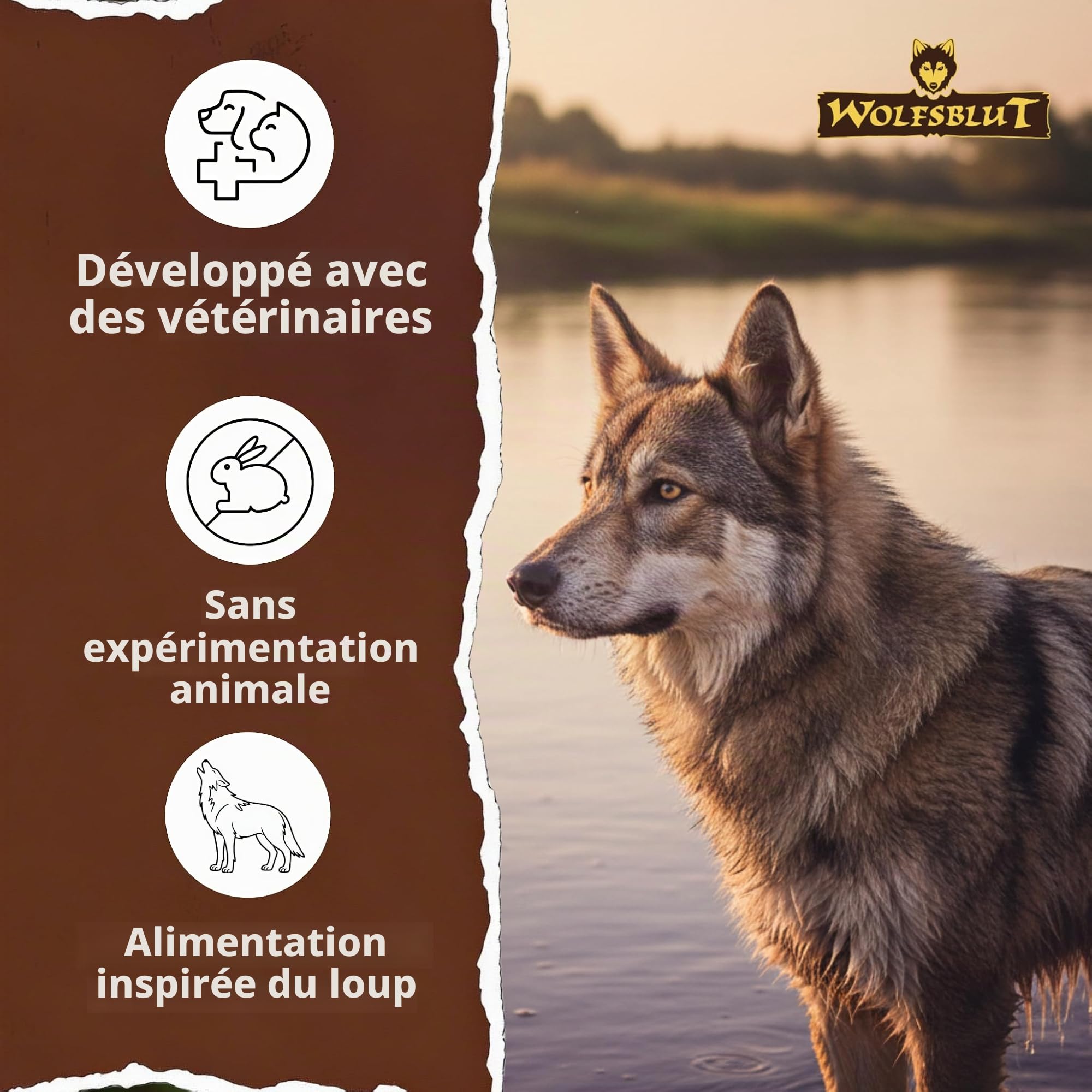 Wolfsblut Wide Plain Croquettes pour chien