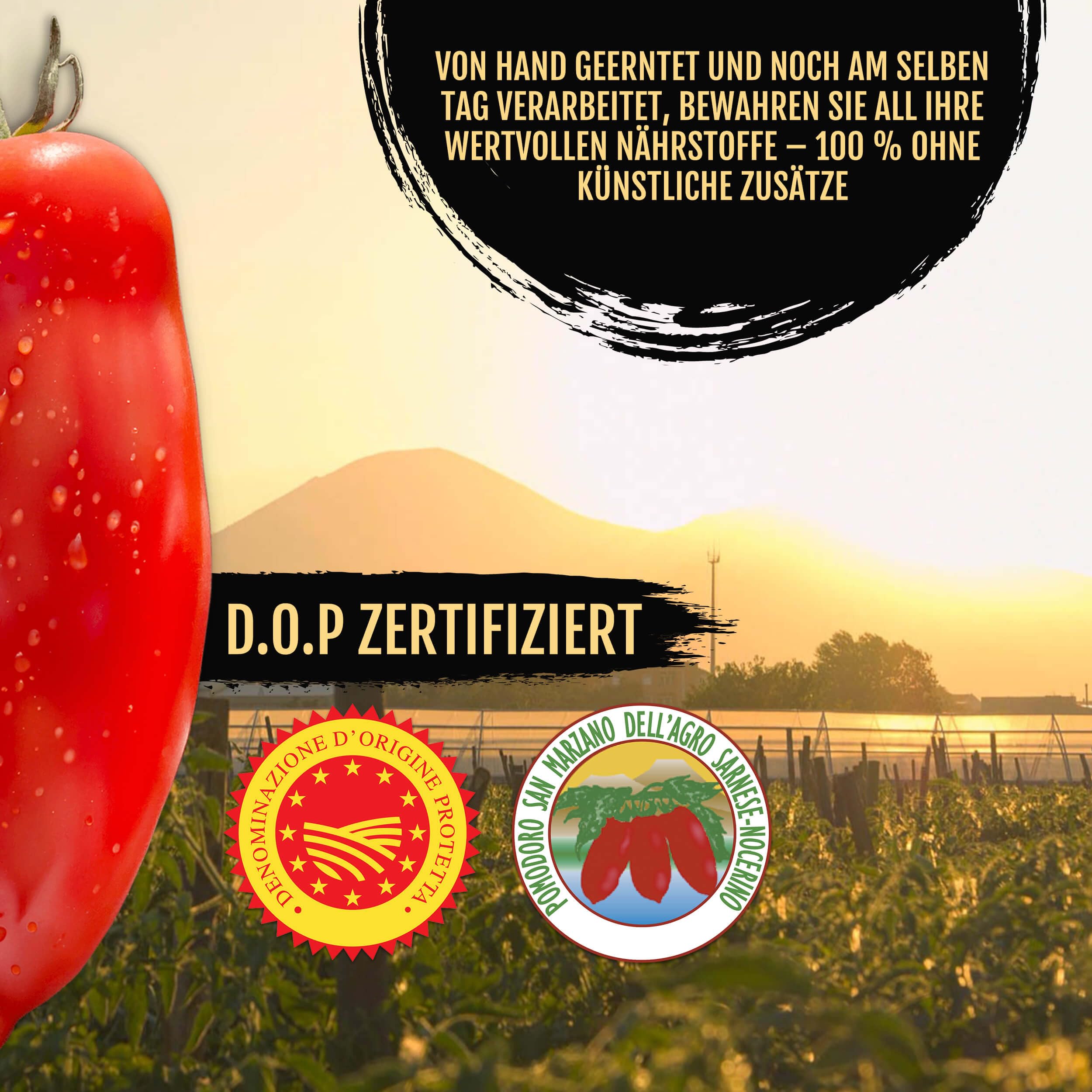 DELICRET - Nolano BIO San Marzano Tomaten DOP – 6x 400g | erste BIO zertifizierte San Marzano weltweit | perfekt für Pizza & Pasta | ganze geschälte Tomaten vom Vesuv (6x 400g)