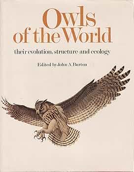 81QFse9hstL._AC_UF350,