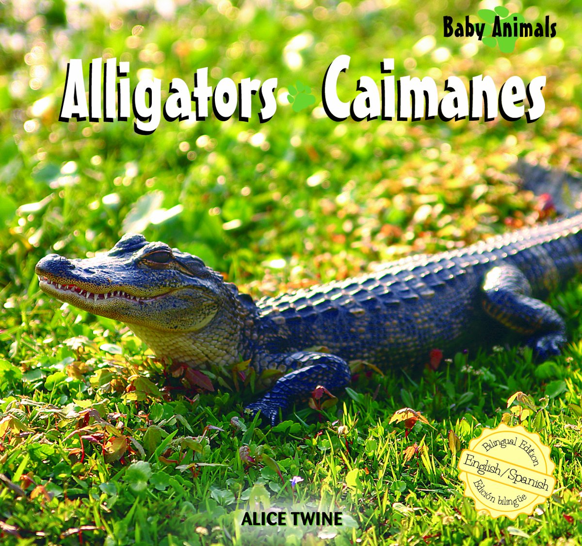 Alligators/Caimanes (Baby Animals/Animales Bebé)