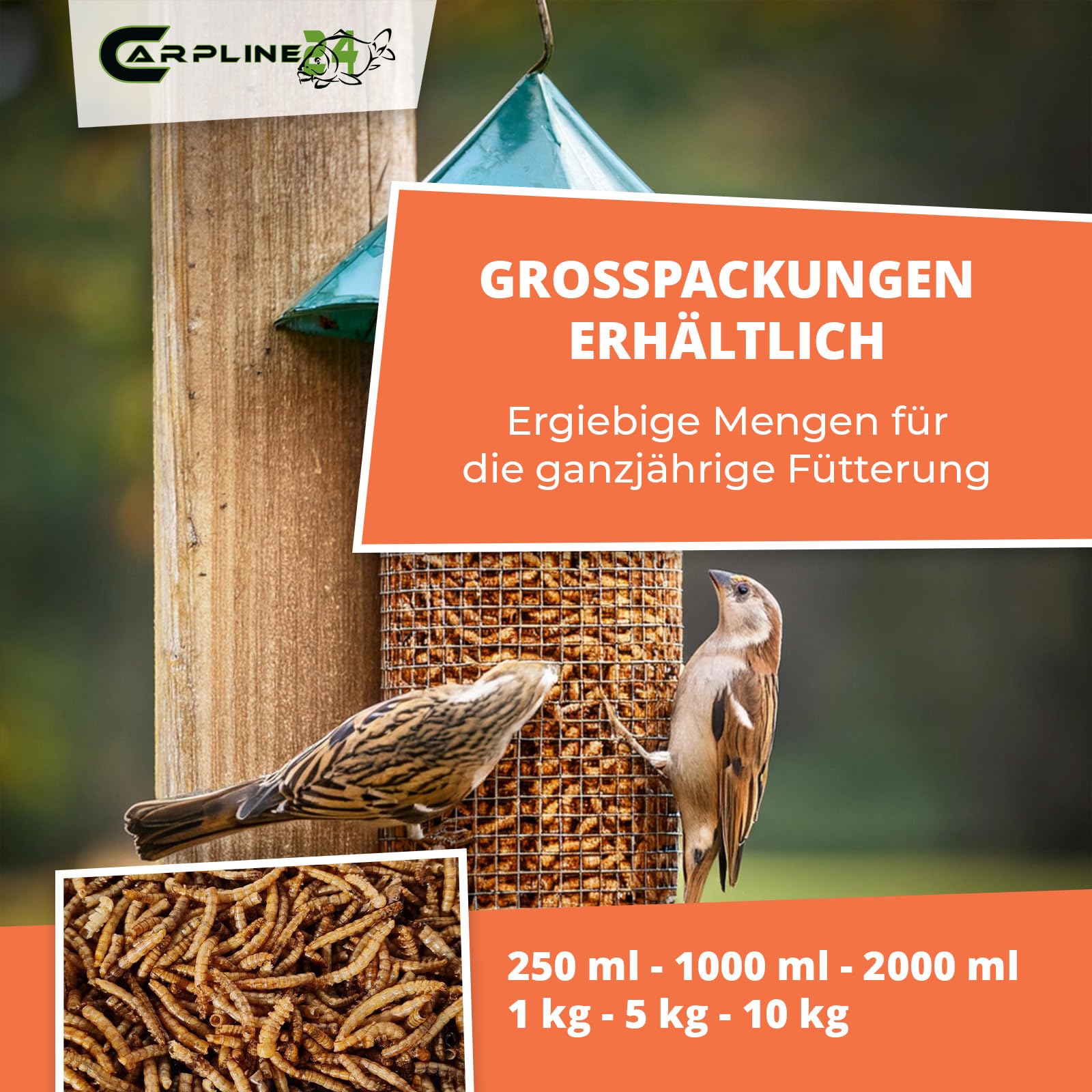 Getrocknete Mehlwürmer 1000 ml - Proteinreiche Insekten als Futter für Reptilien, Nager, Igel & Fische, Vogelfutter, Winterfutter