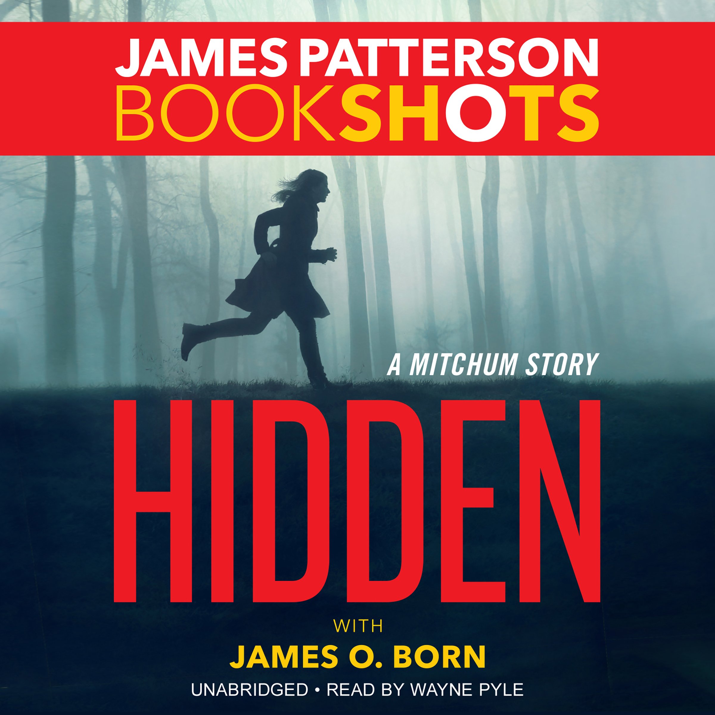 Cover art for Hidden: A Mitchum Story