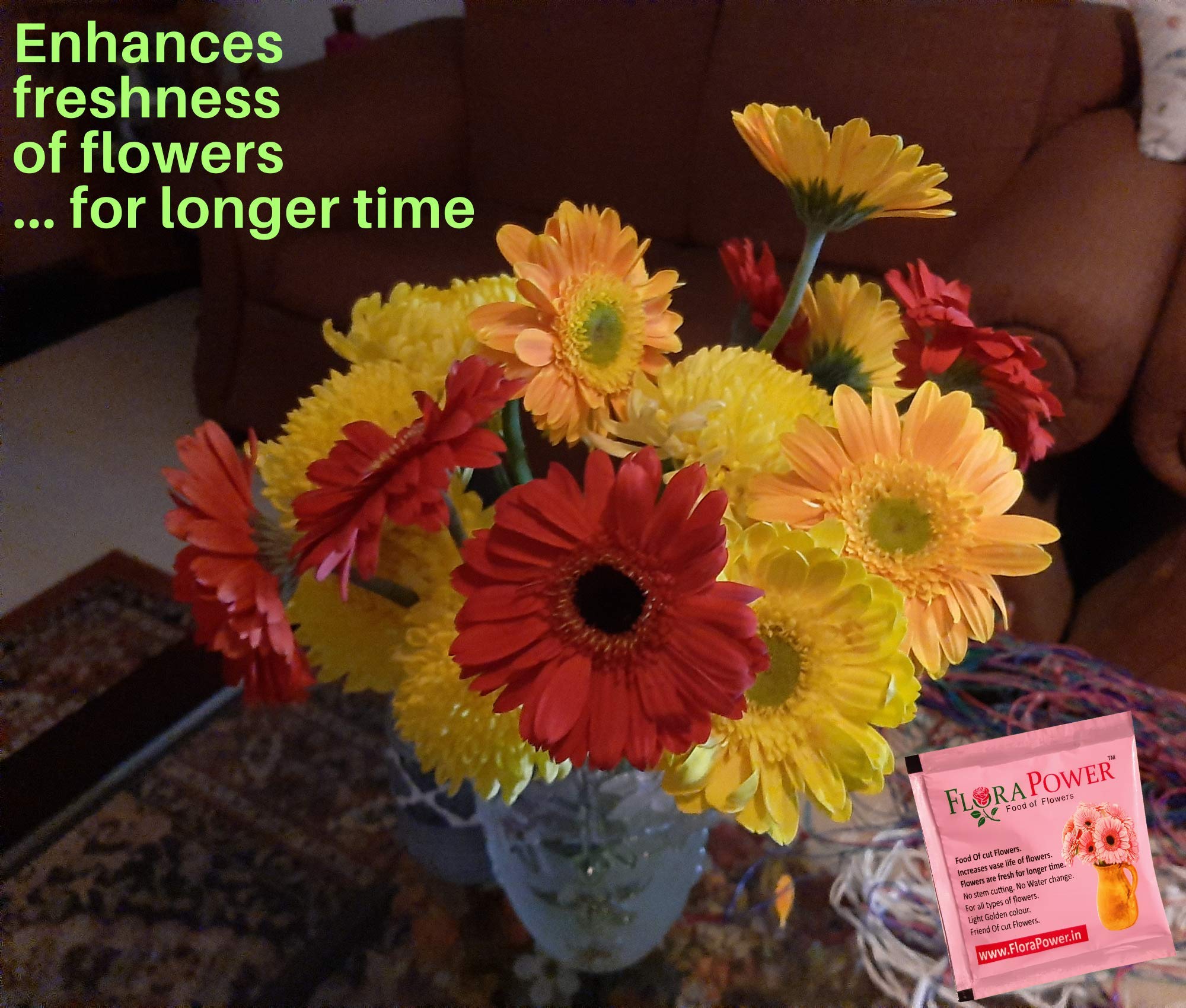 Buy FloraPower Food of Flowers, Flower Food (Sachets, 10 Pieces