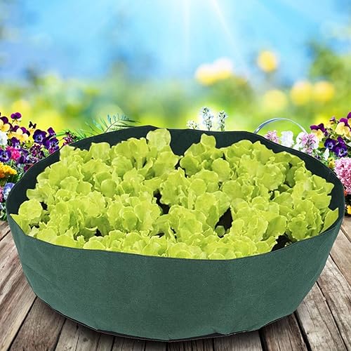 Miniatura 3 de Topyond Bolsas de cultivo, macetas para plantas, macetas de guardería, cama de jardín elevada, bolsa de cultivo redonda, para flores de hierbas,