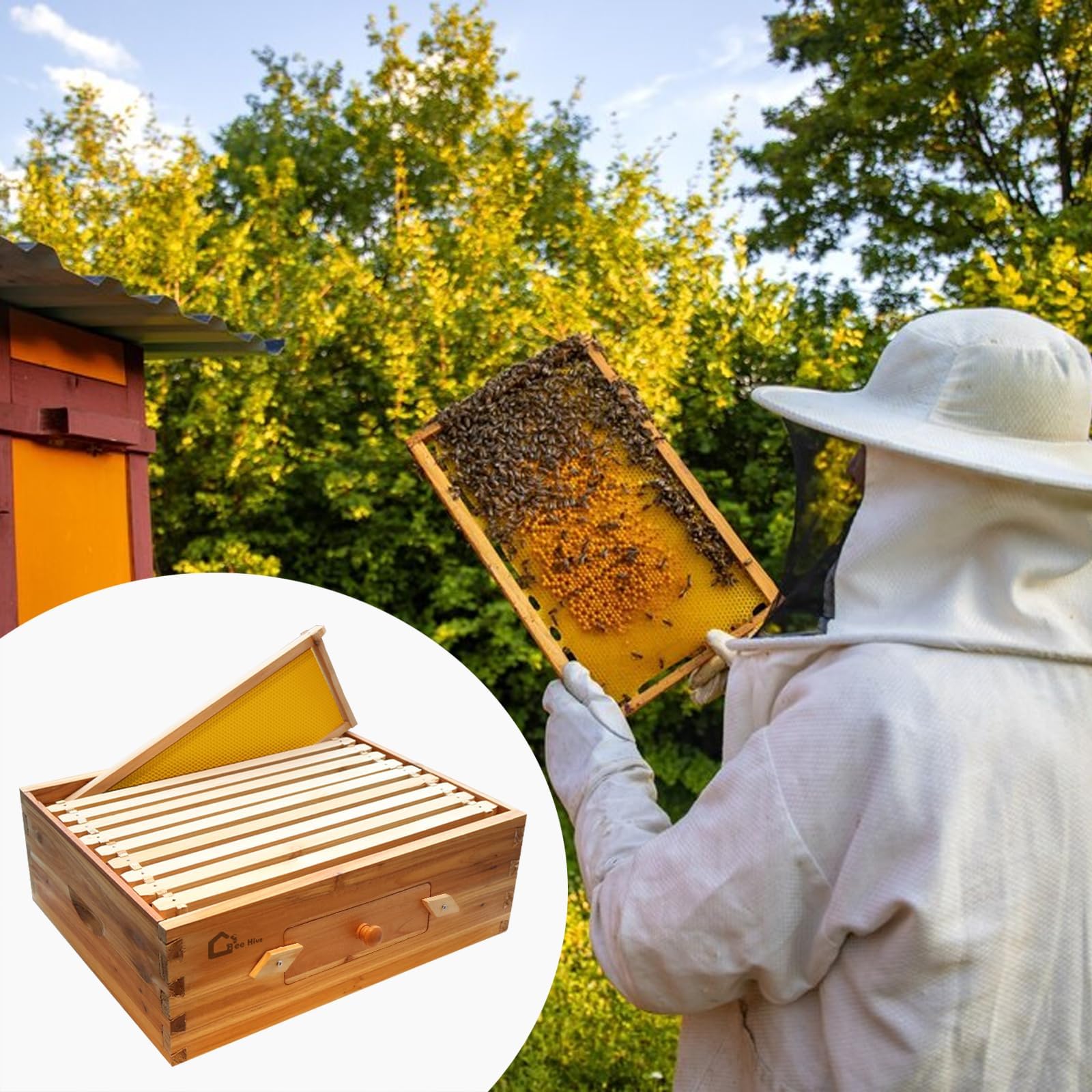 Kit de démarrage de ruche, boîte à essaim avec 10 rayons moyens, ruche en bois massif avec cadre en bois et fondation cirée, boîte de ruche durable, fournitures d'apiculture, maison d'abeilles