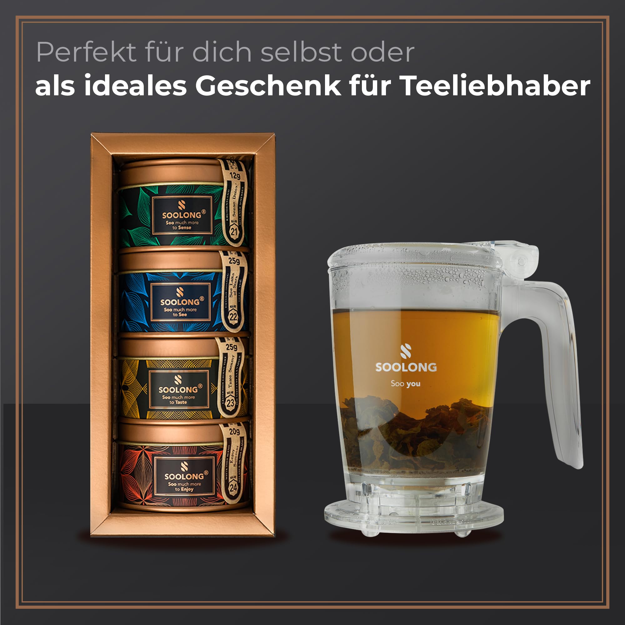 Soolong Teamaker, Infuse Master, praktischer Teekocher, Ice-Teekocher für Tee und Eistee aus Tritan, Teekocher ist BPA-frei und spülmaschinenfest - 450ML - Muttertag - Geschenk - 1 Stück