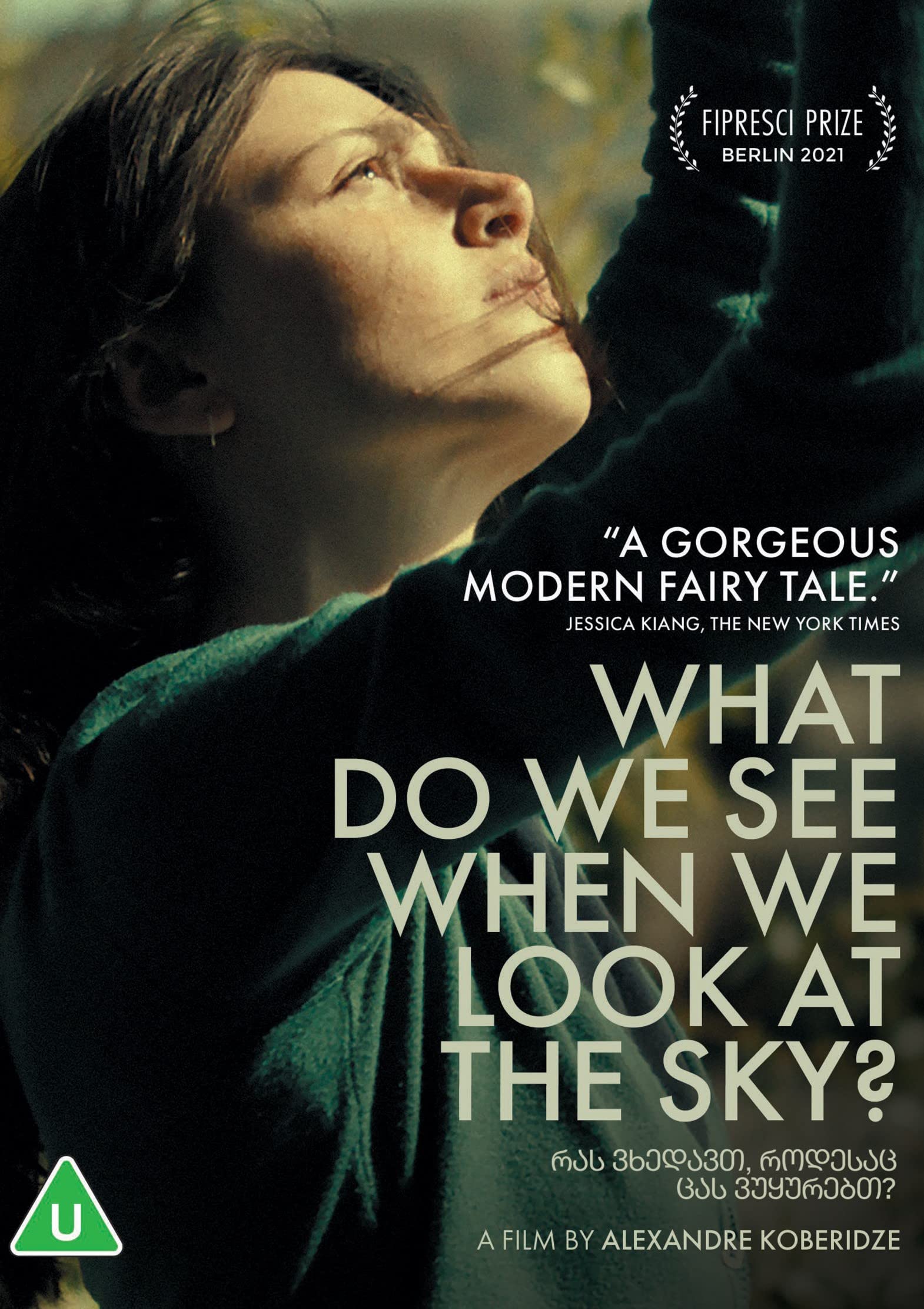 What Do We See When We Look at the Sky? [U] DVD