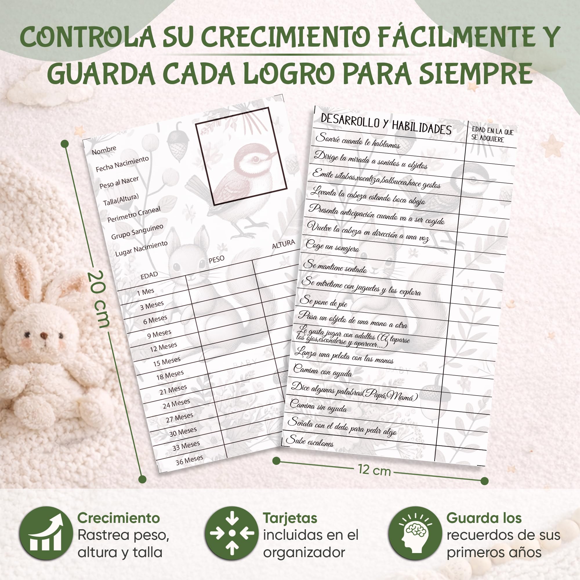 Portadocumentos Bebé para Cartilla Sanitaria con Tarjetas de Crecimiento y Primeros Logros, Carpeta y Porta Documentos Bebé, Funda Libro de Salud, Regalo para Baby Showers — view 5