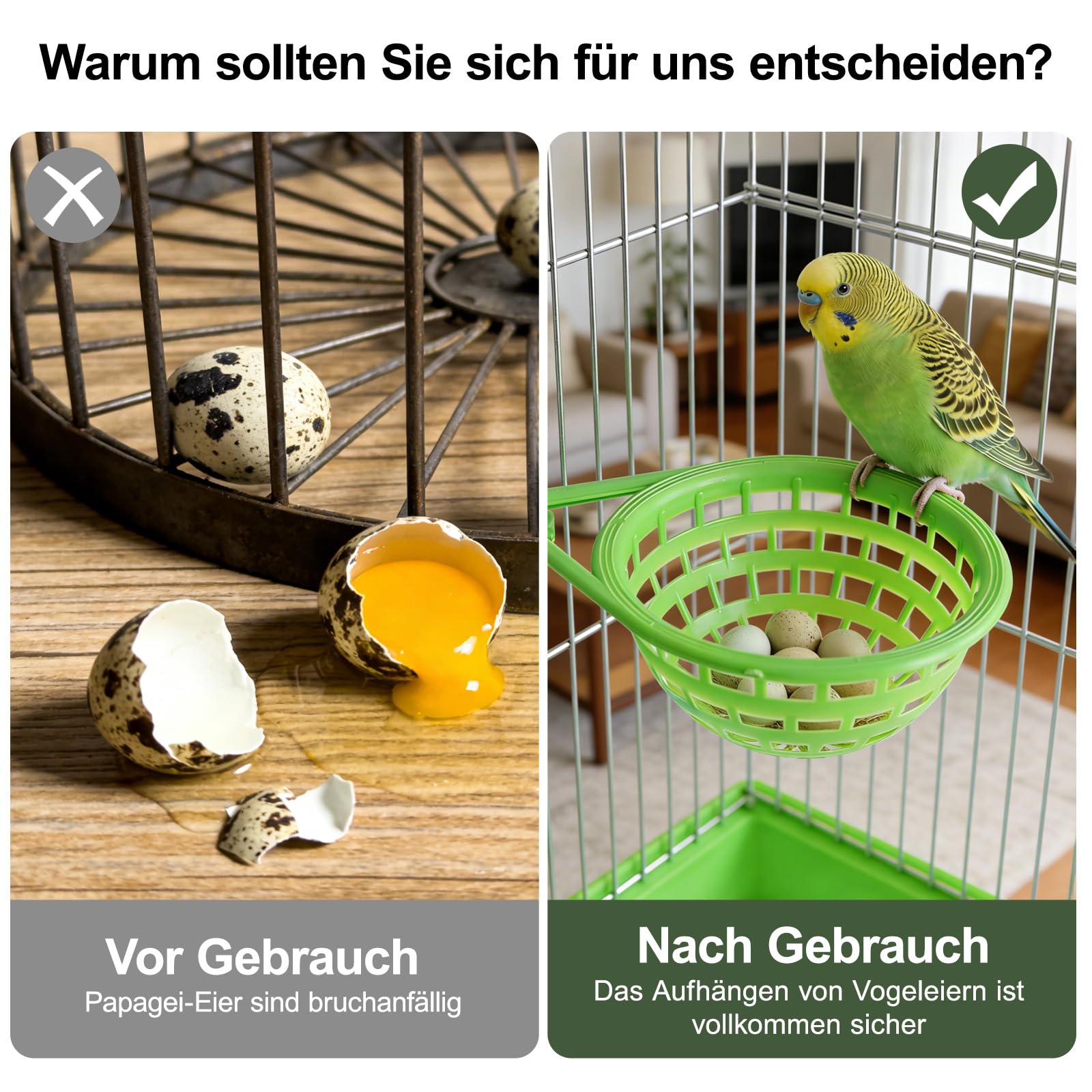 LATRAT Lot de 2 cages à suspendre en plastique pour canaris, perroquet, canaris, pigeon (petit)