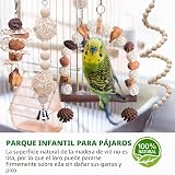 Ver la foto 6