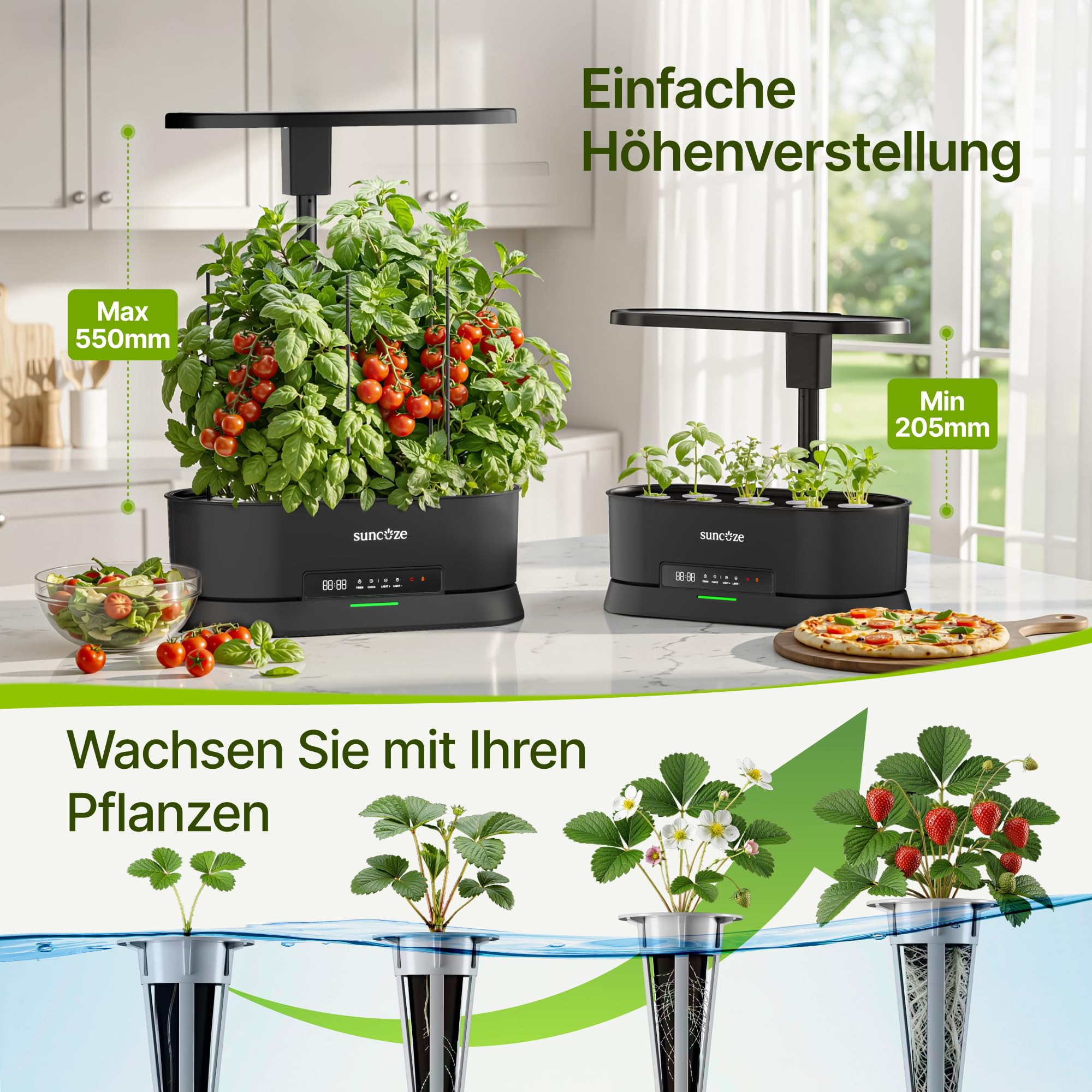 SUNCOZE Abnehmbarer Hydroponisches Anzuchtsystem mit 12 Hülsen, Schwarz | Indoor Kräutergarten mit 36W LED Pflanzenlampe, 5L Wassertank, Höhenverstellbar bis 550 mm, Hydroponik System mit Timer