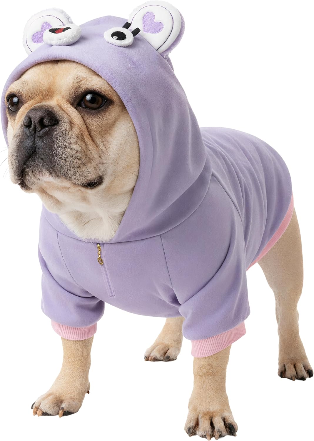 Suéter Disfraz Halloween para Perro French Bulldog, Chaleco con Capucha, Talla XL, Púrpura