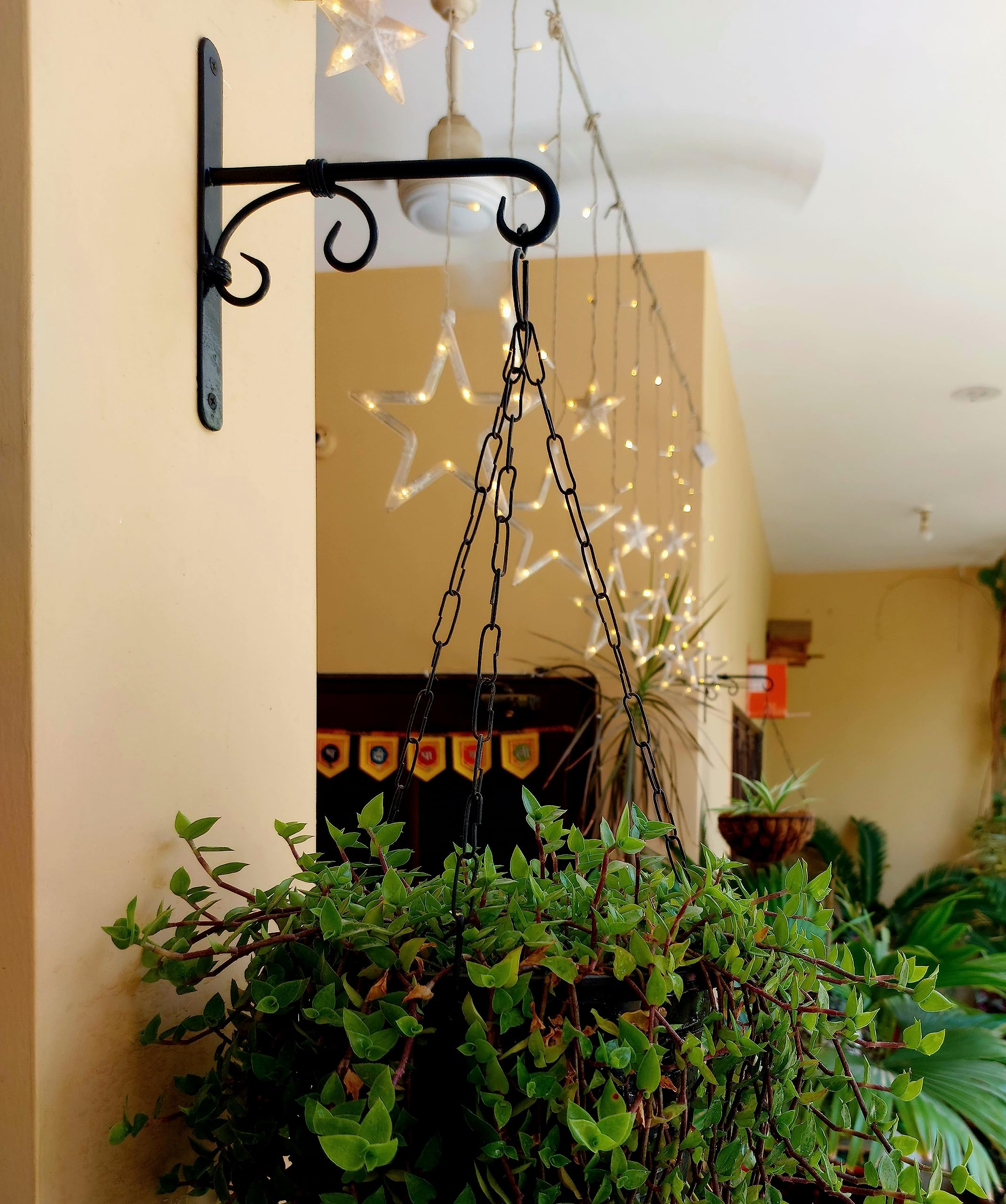 Treegift Metal Hooks Hangers Brackets Set of 2 for Wall Hanging Planters,Plants,Flower Pots,Lights,Money Plant,Bird Feeders.Black Colour, Size- (7.5" by 6.5" inch)