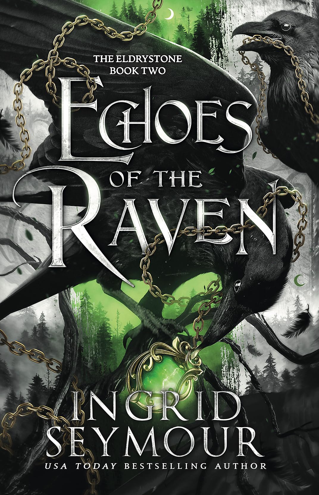 Echoes of the Raven by Ingrid Seymour PAPERBACK 9781035420681