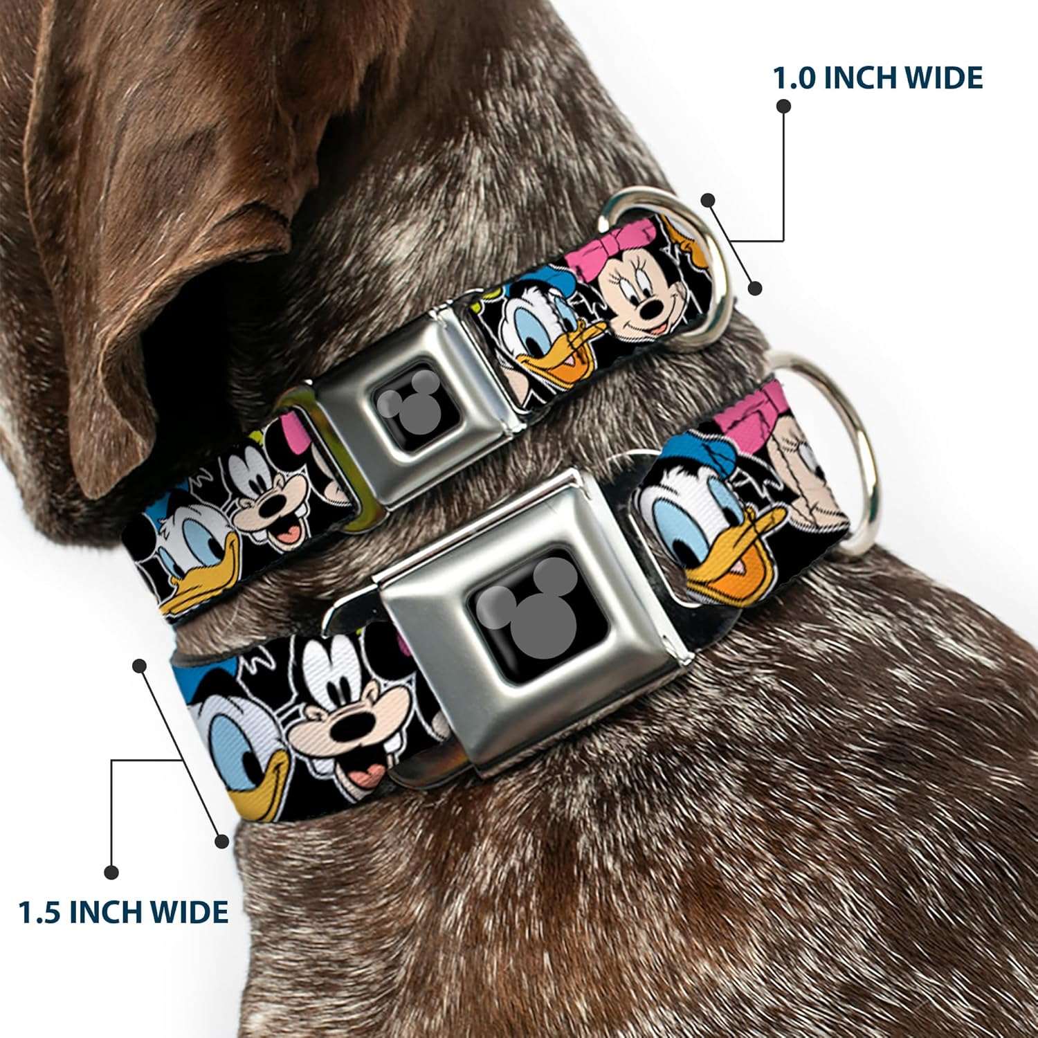 Buckle-Down Seatbelt Buckle Dog Collar - Classic Disney Character Faces Black - 1" Wide - Fits 15-26" Neck - Large